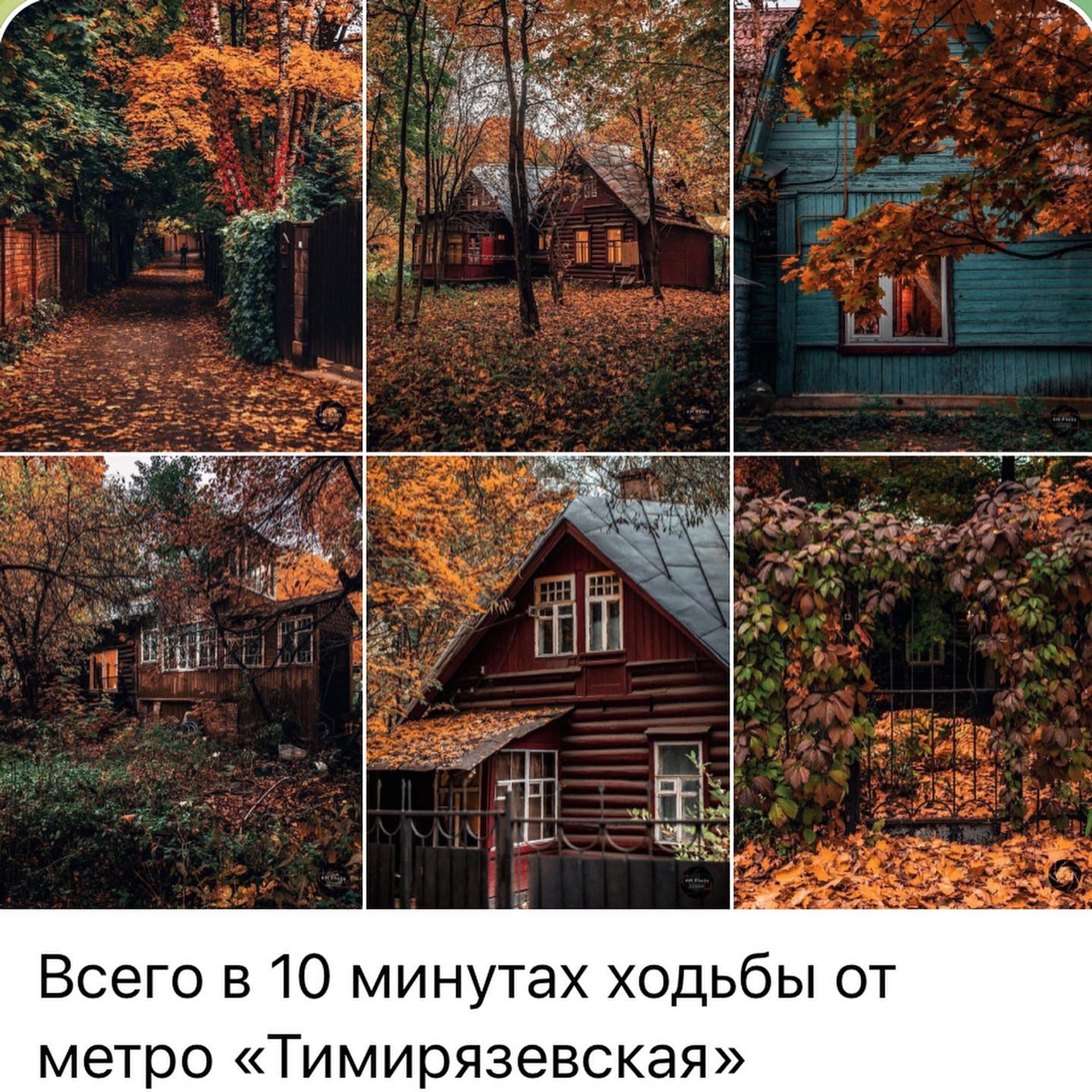 Места для осенних фотопрогулок. Дарья Бухреева — фотограф, видеограф и фототерапевт. Москва и мир