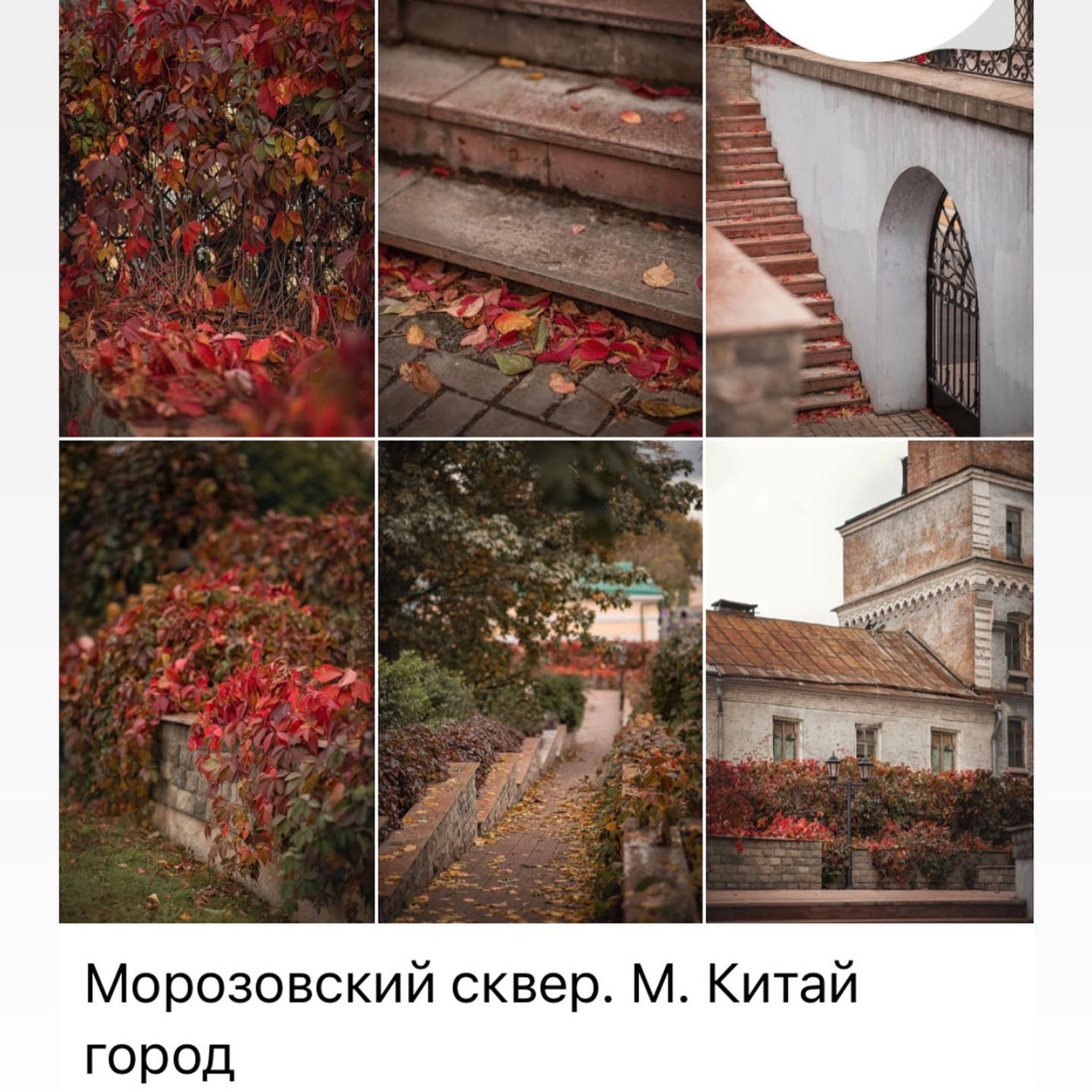 Места для осенних фотопрогулок. Дарья Бухреева — фотограф, видеограф и фототерапевт. Москва и мир