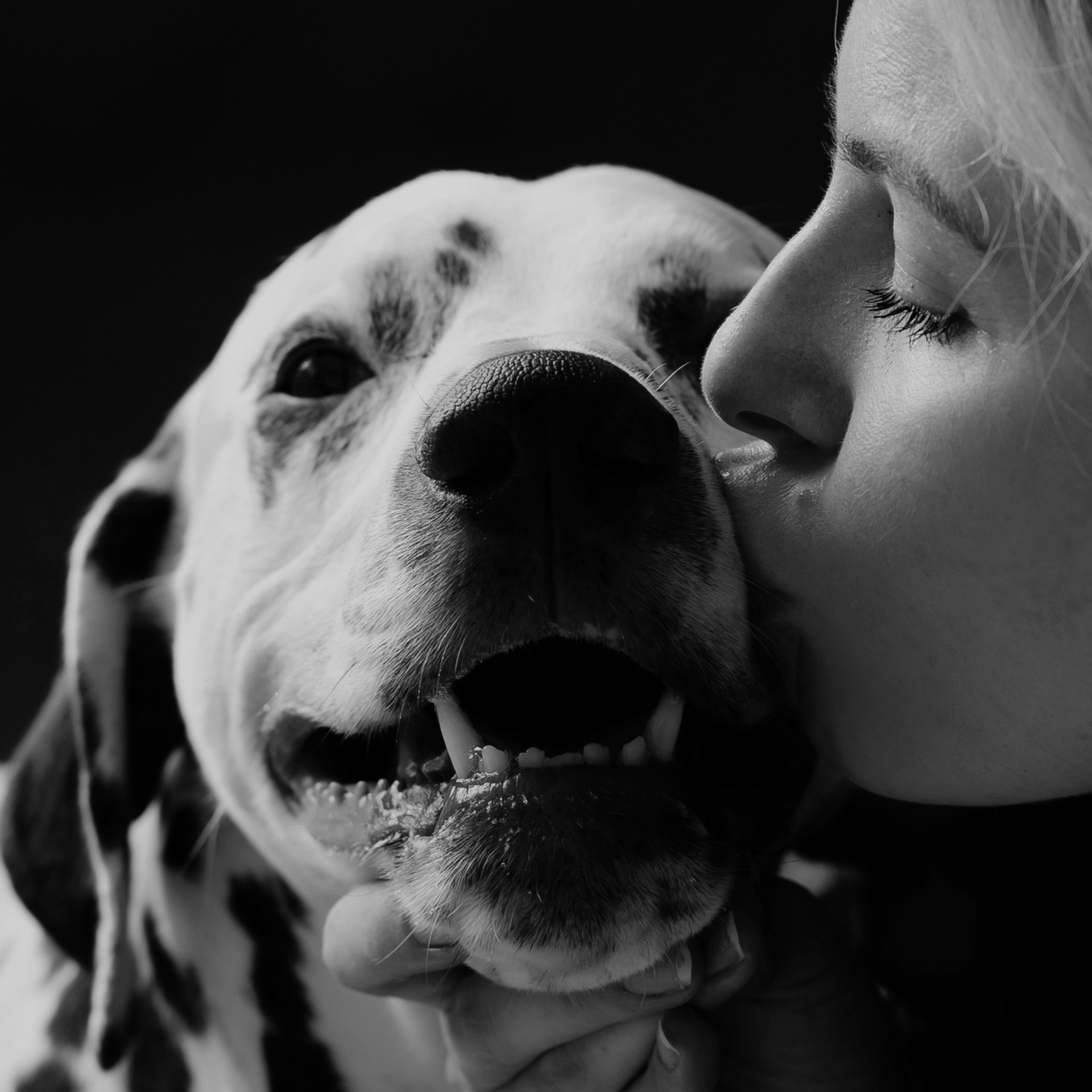 Ein Fotoshooting mit eurem Lieblingshund. Семейный фотограф в Мюнхене Даша Антипина