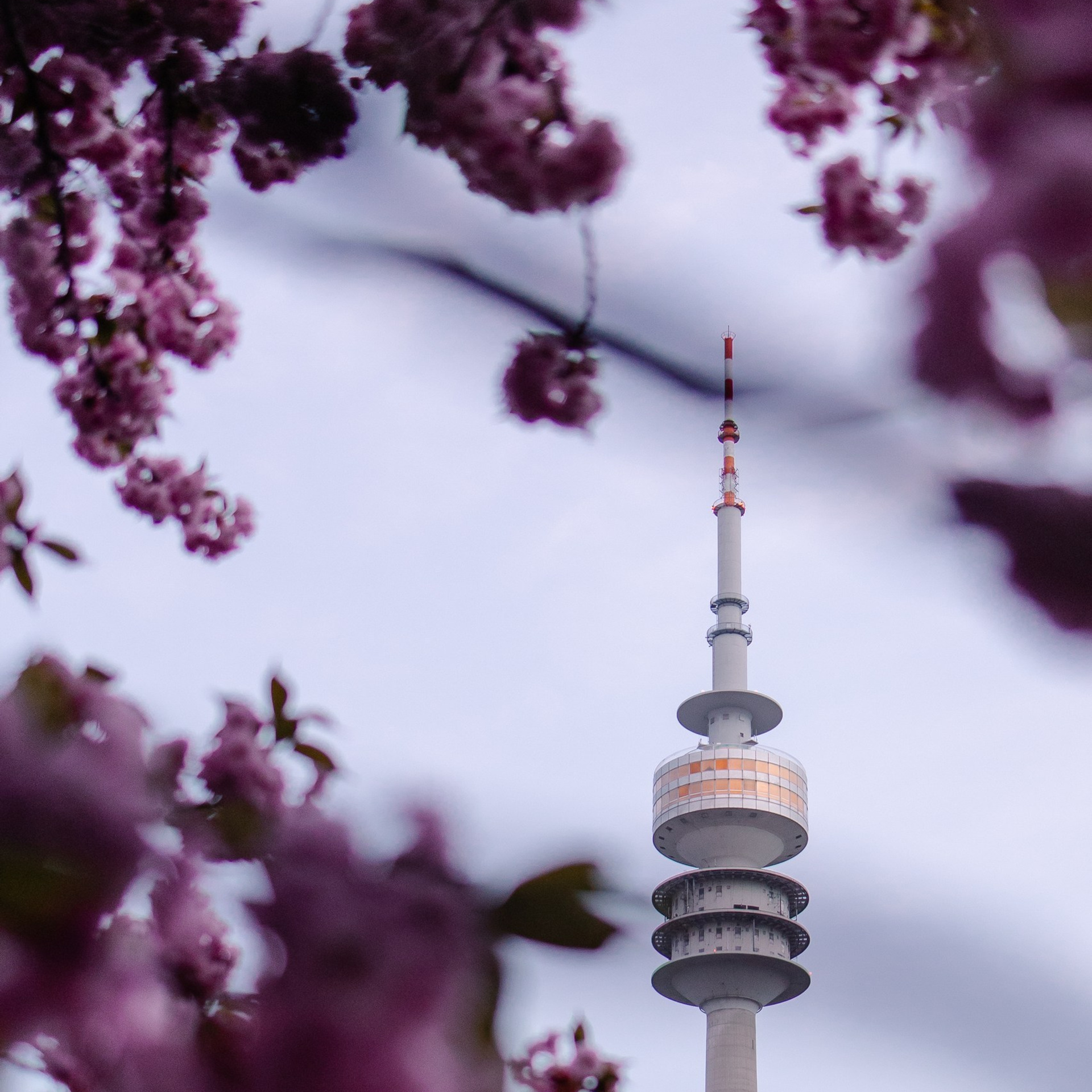 Отзывы. Семейный фотограф в Мюнхене Даша Антипина