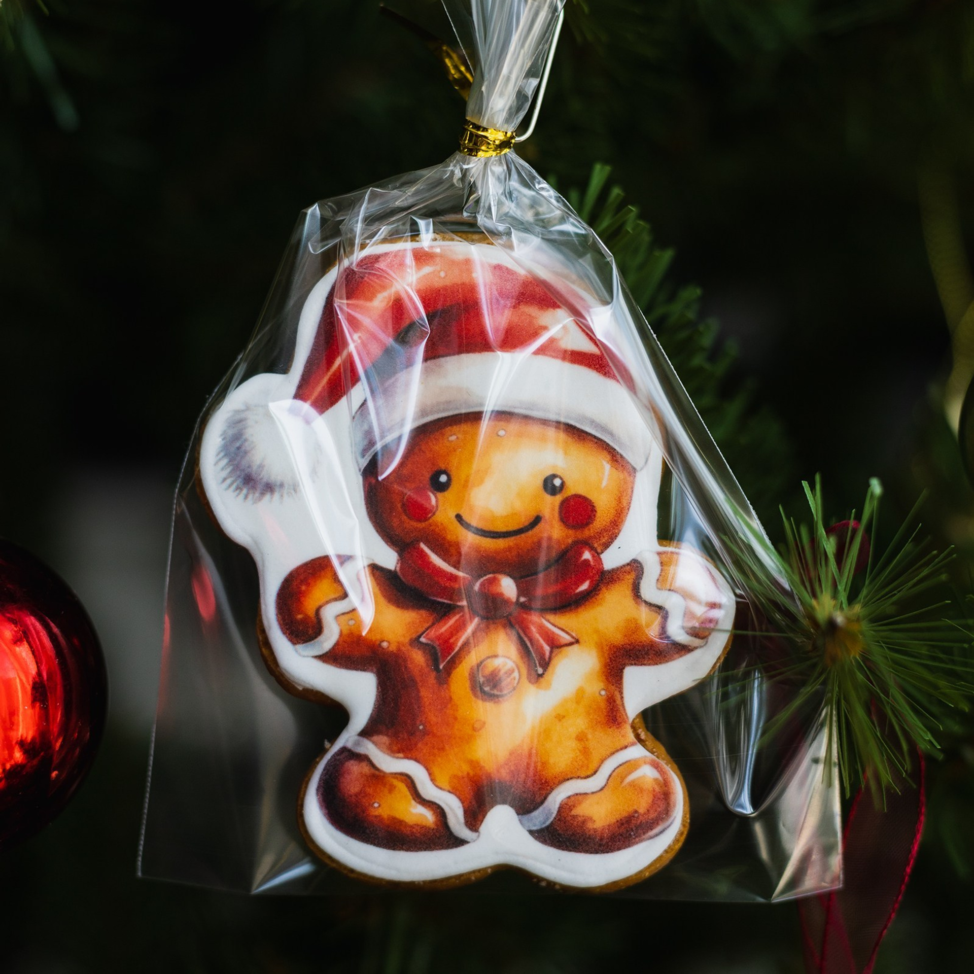 Отзывы. Фотограф в Севастополе Егор Столичный