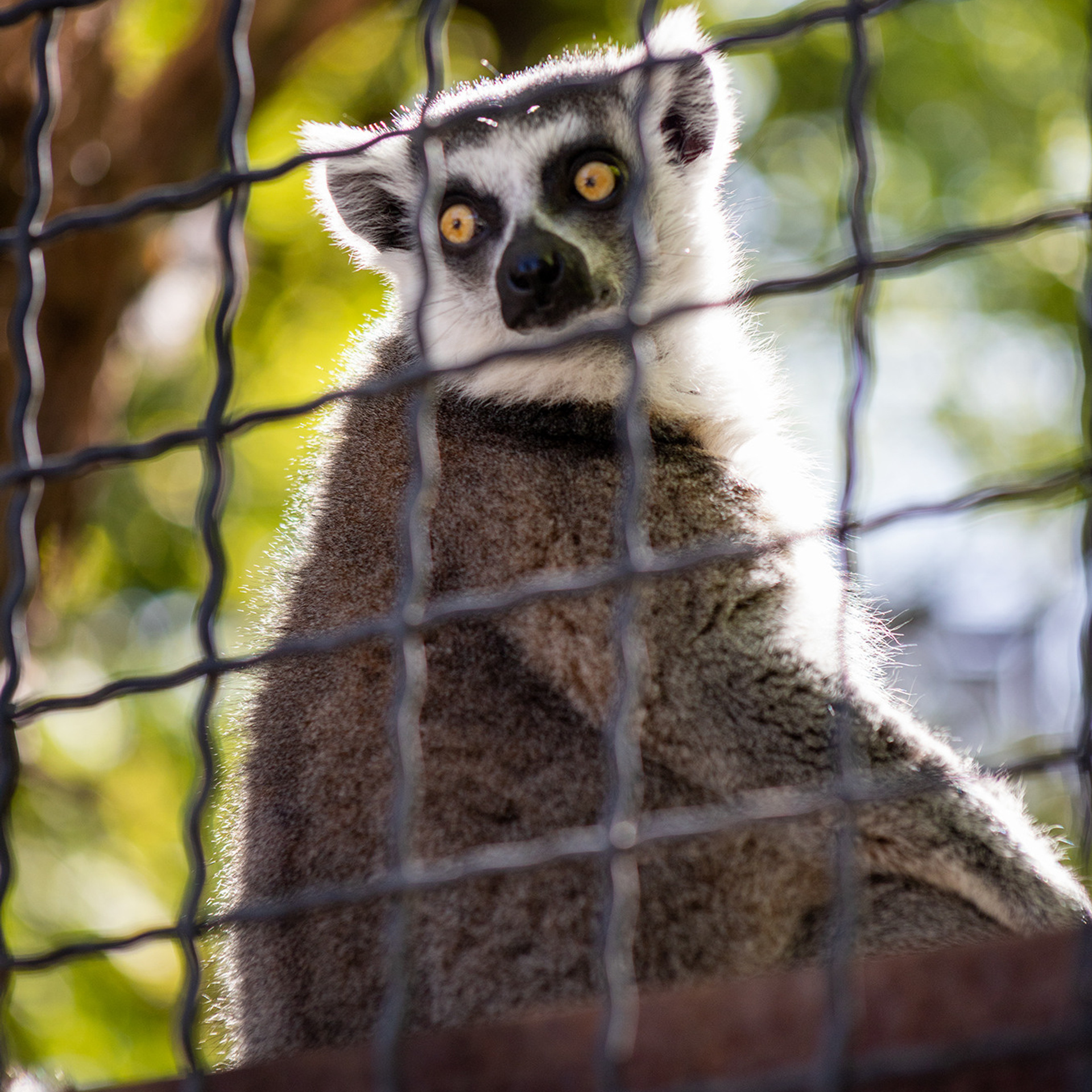 Отзывы. Фотограф в Севастополе Егор Столичный