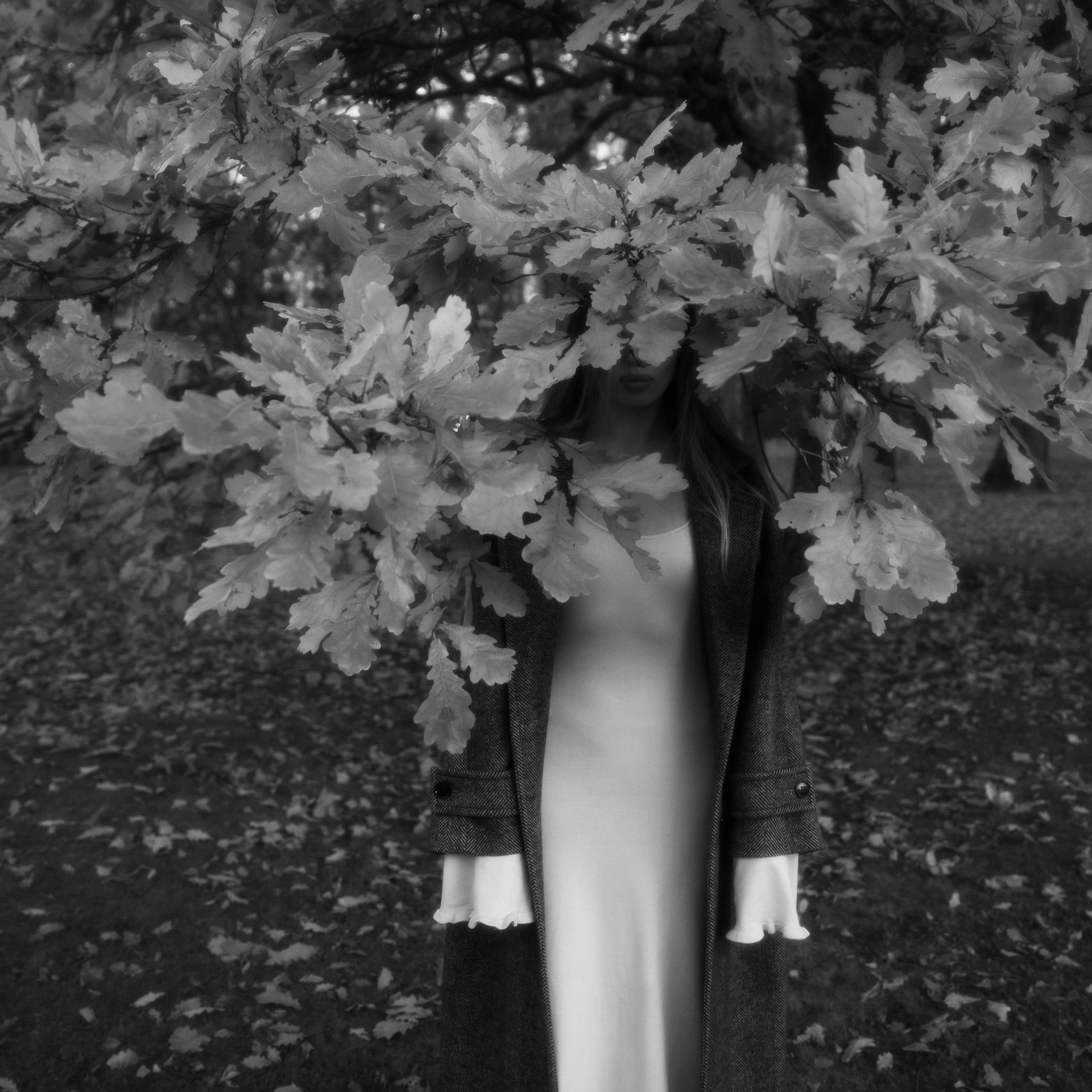 Elena. Портретный фотограф в Санкт-Петербурге Светлана Каменева