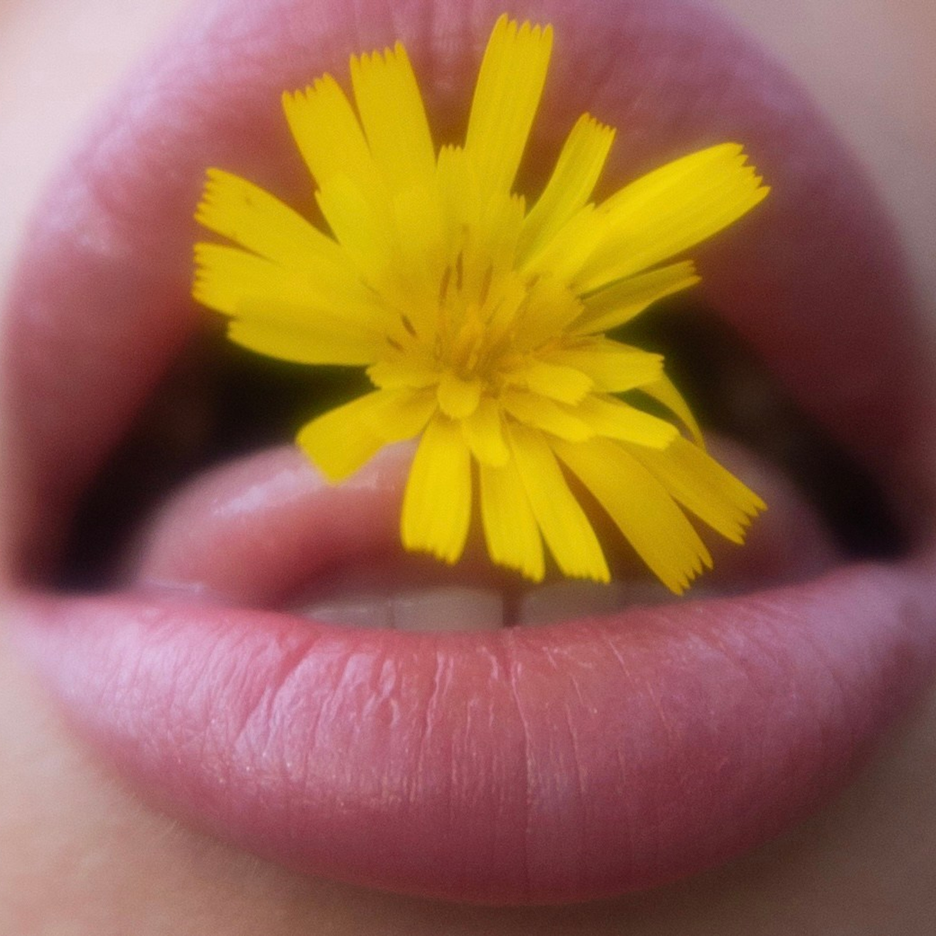 Elena. Портретный фотограф в Санкт-Петербурге Светлана Каменева