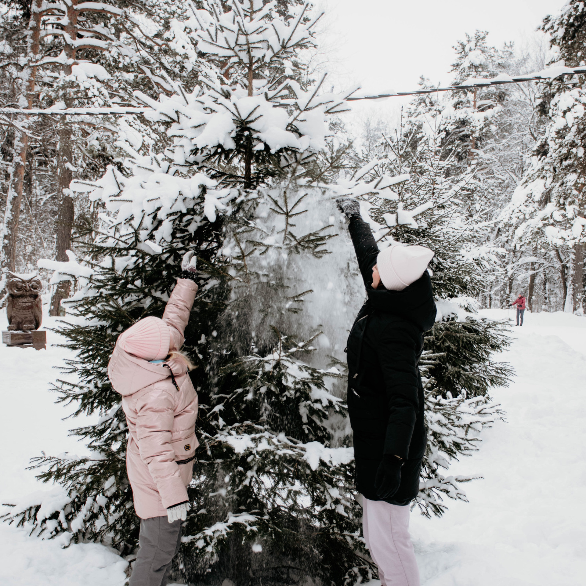 Отзывы. Фотограф Кемерово Лехнер Елена