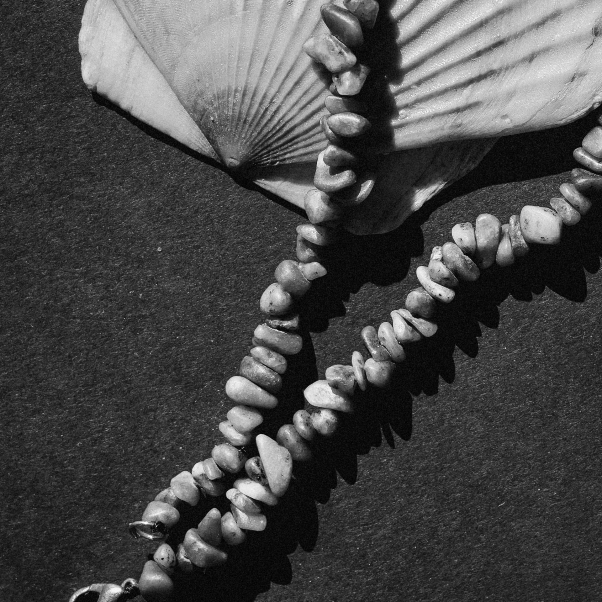 Предметная съемка. Фотограф Анастасия Бондарчук