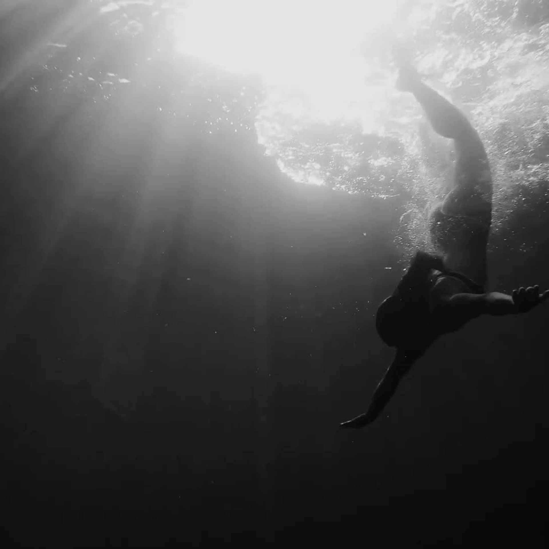 Свадебный видеограф в Москве Александр Саламатин