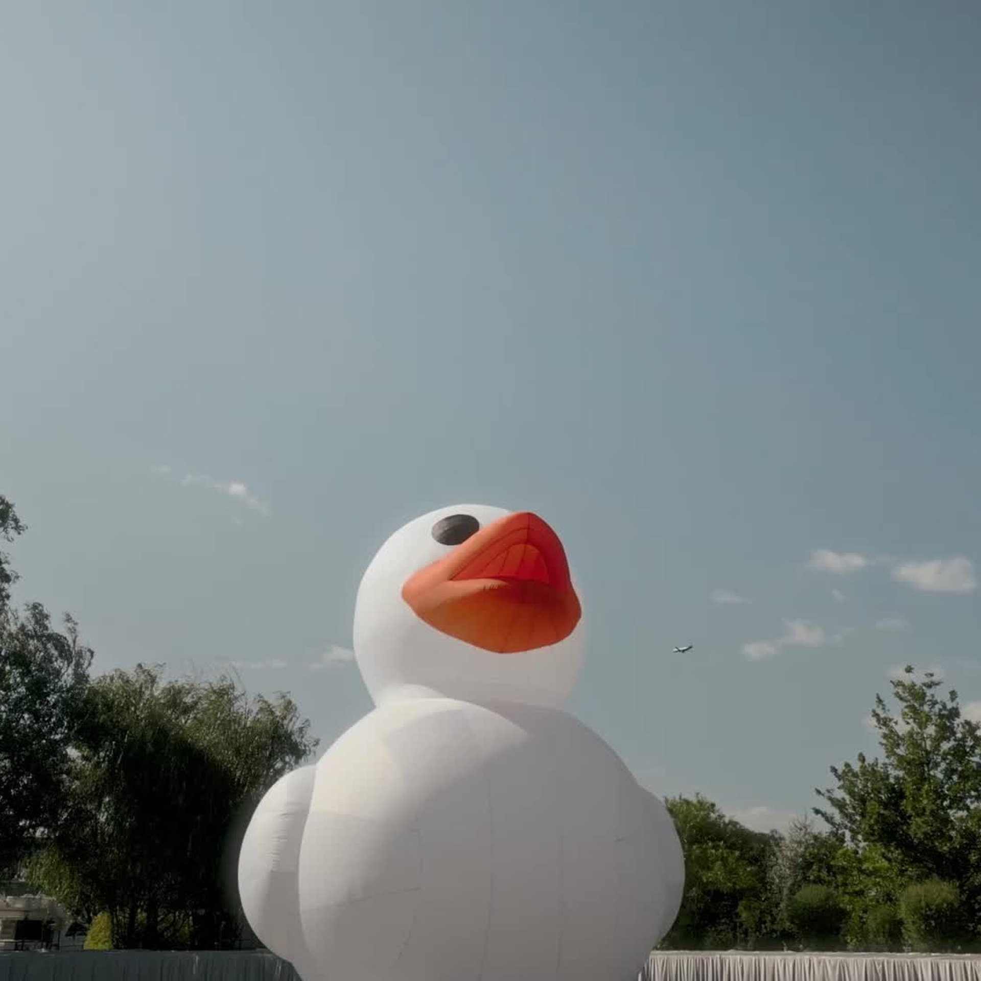 Свадебный видеограф в Москве Александр Саламатин