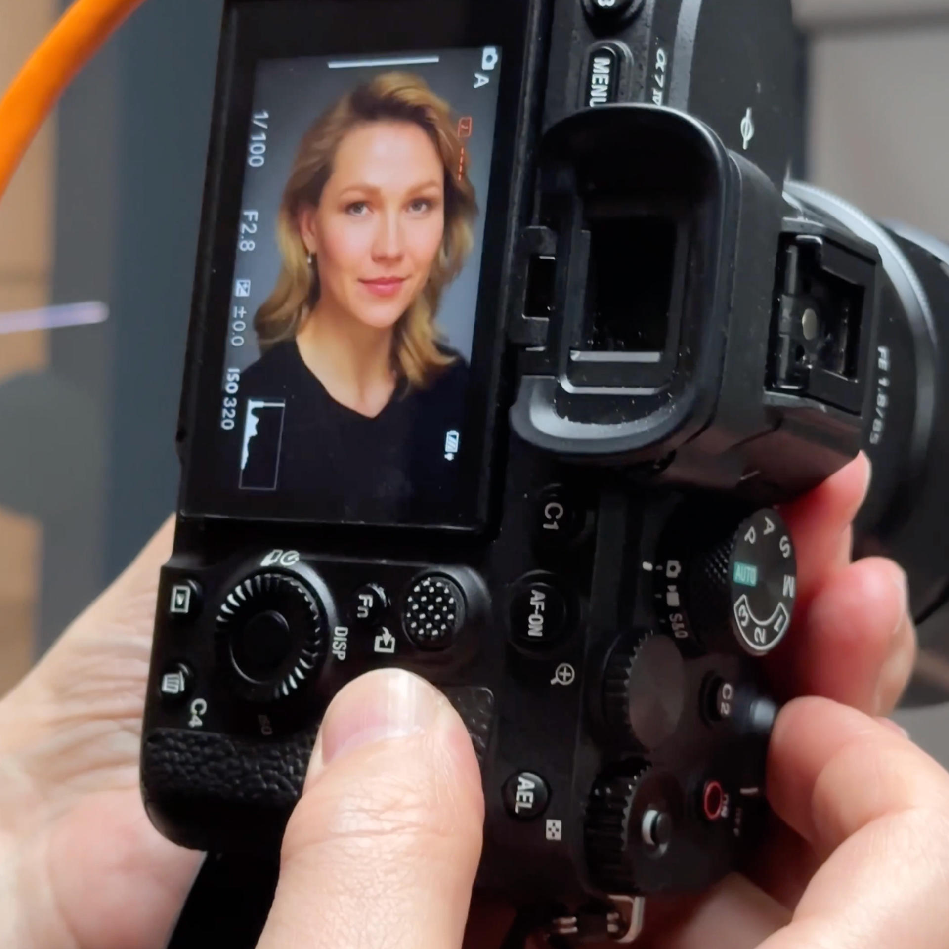 Елена актёрские 2