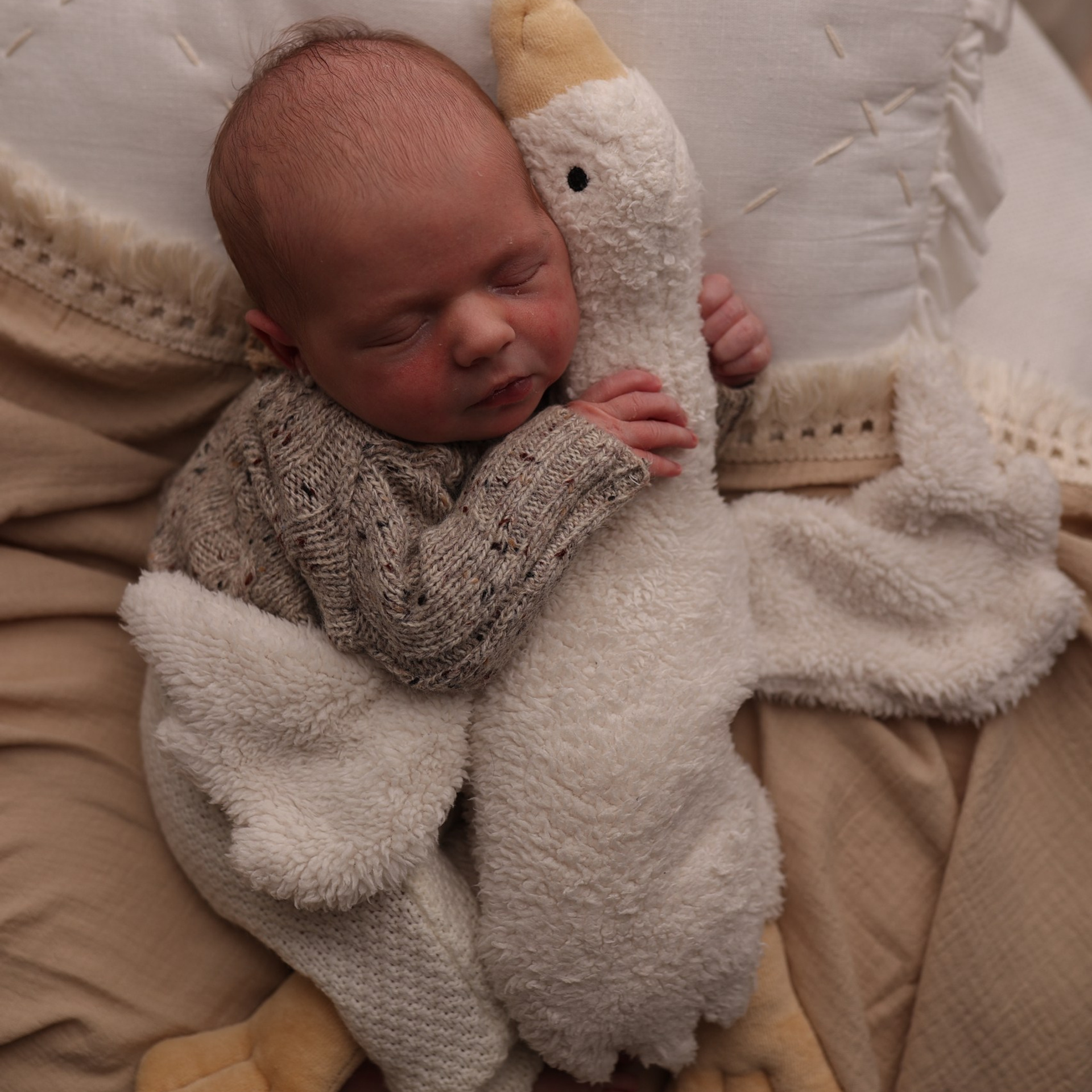 Отзывы. Фотограф новорождённых в Москве Светлана Юхновец