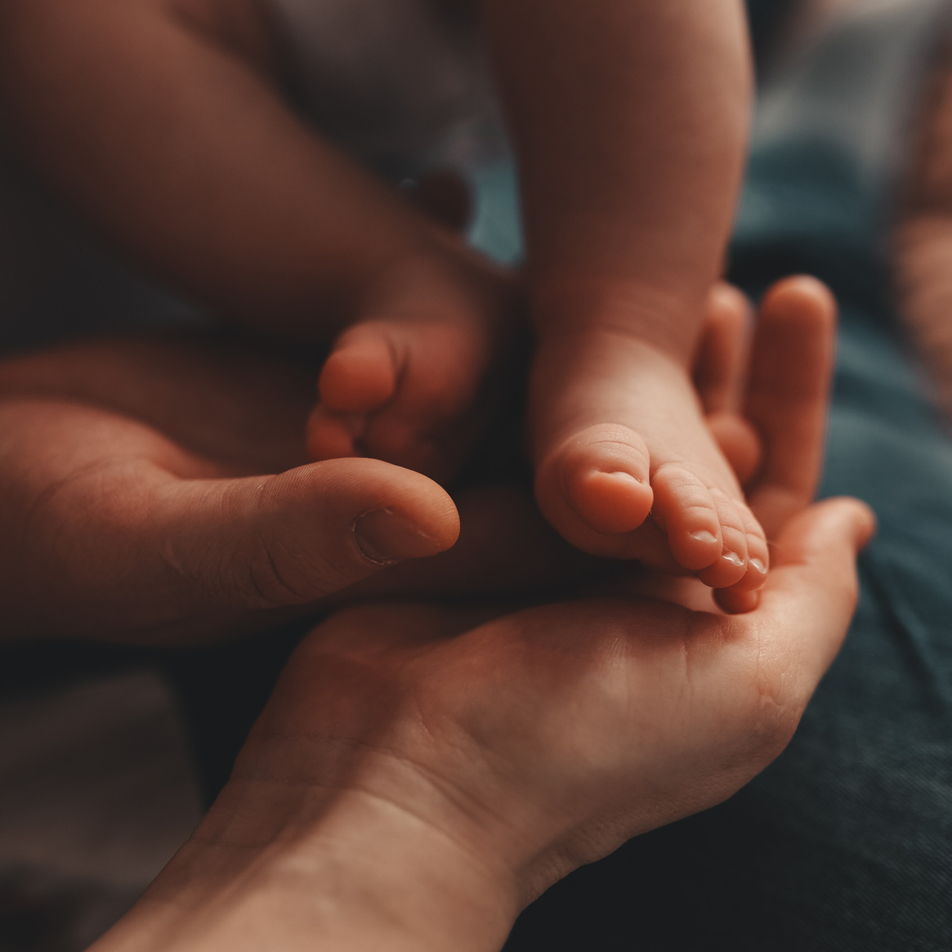 Отзывы. Фотограф новорождённых в Москве Светлана Юхновец