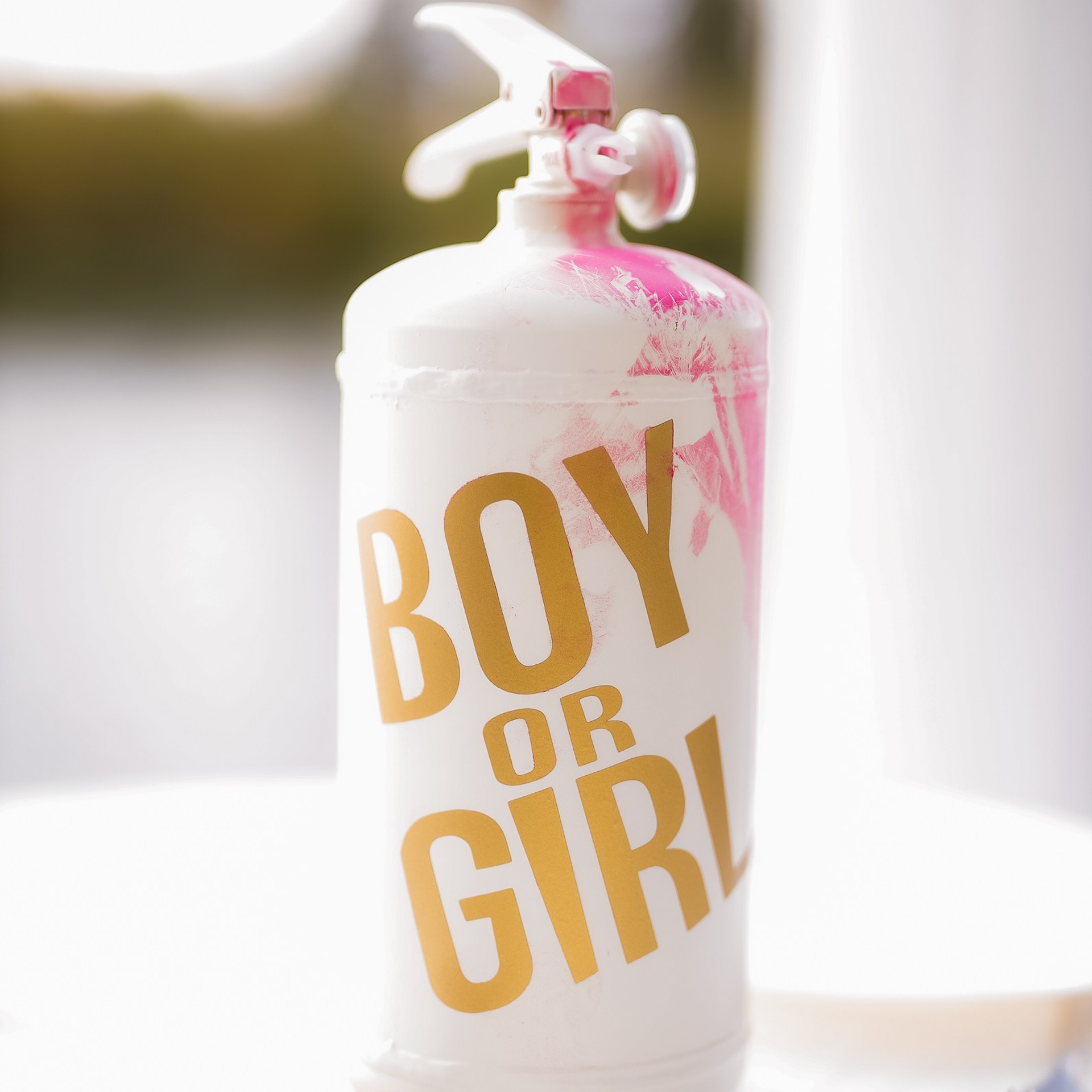 ОН ИЛИ ОНА?