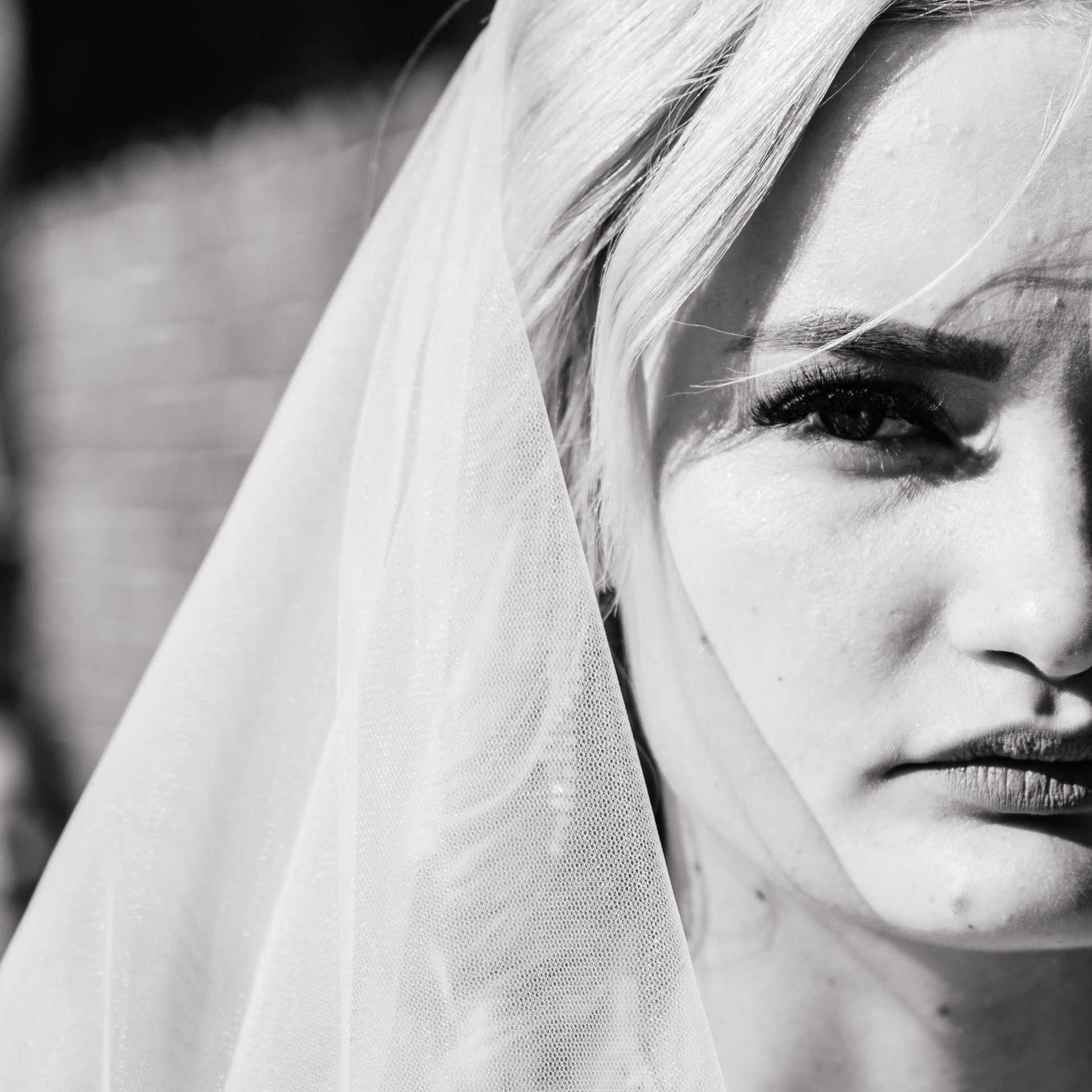 Отзывы. Виталий Москальцов