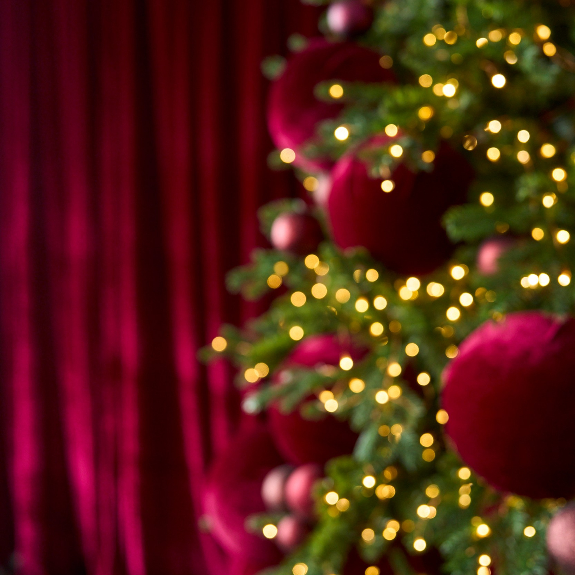 Wood. Женский фотограф в Хабаровске