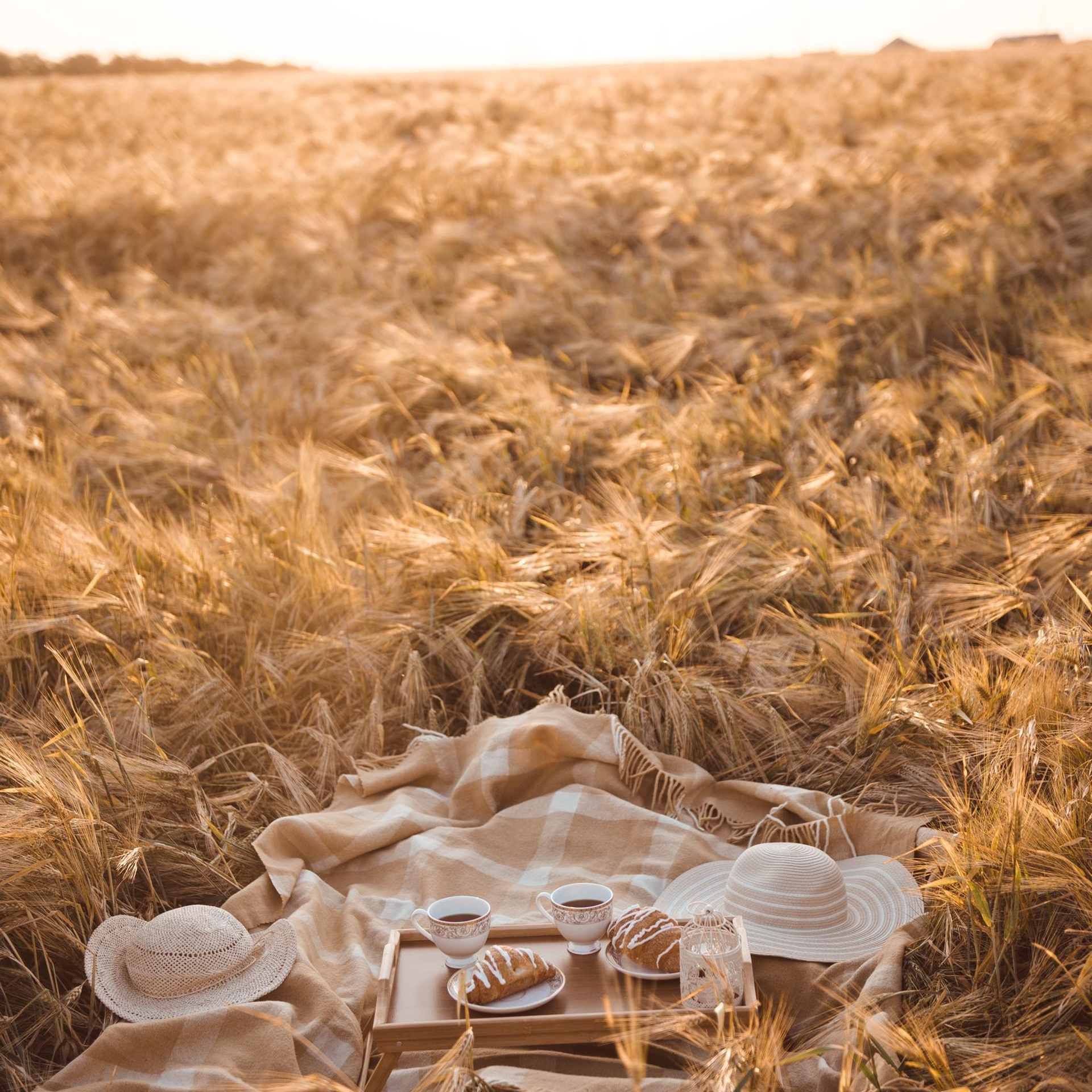 Отзывы. Свадебный и семейный фотограф в Воронеже Алёна Пшеничная