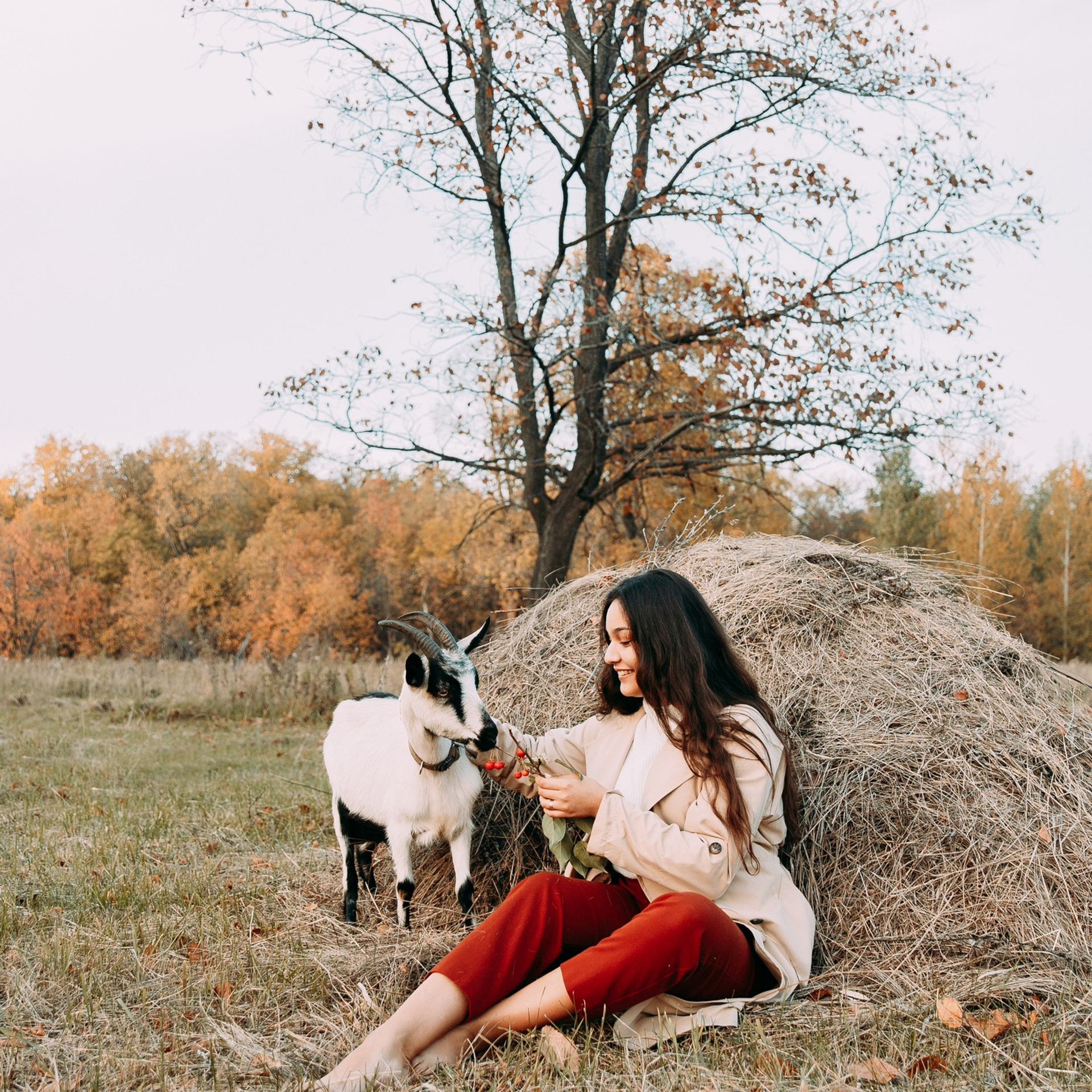 Нален Доганер