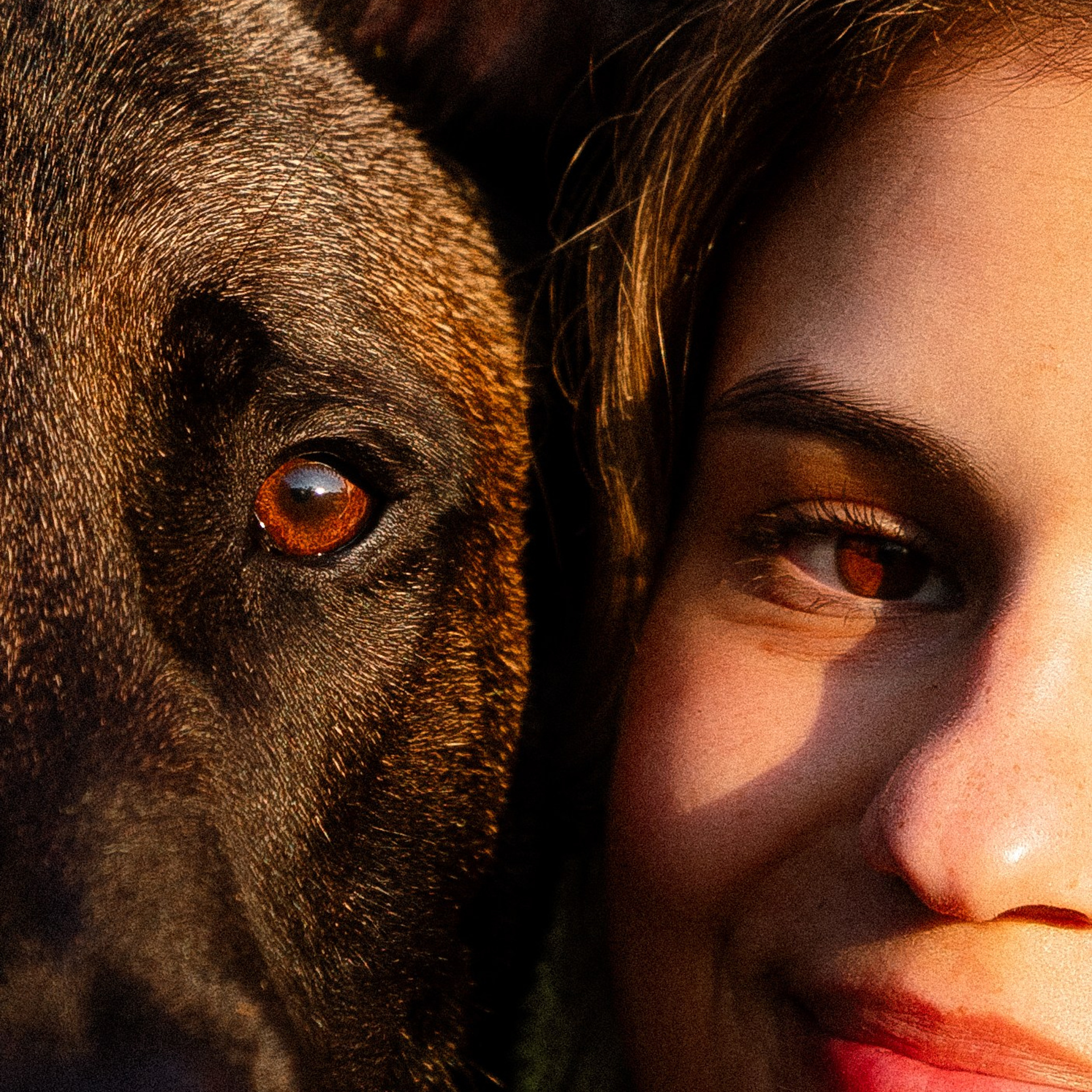 Галина и Кодекс