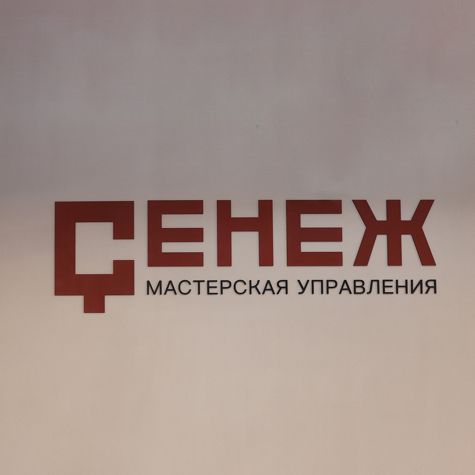 СЕНЕЖ. Публичные коммуникации лидеров