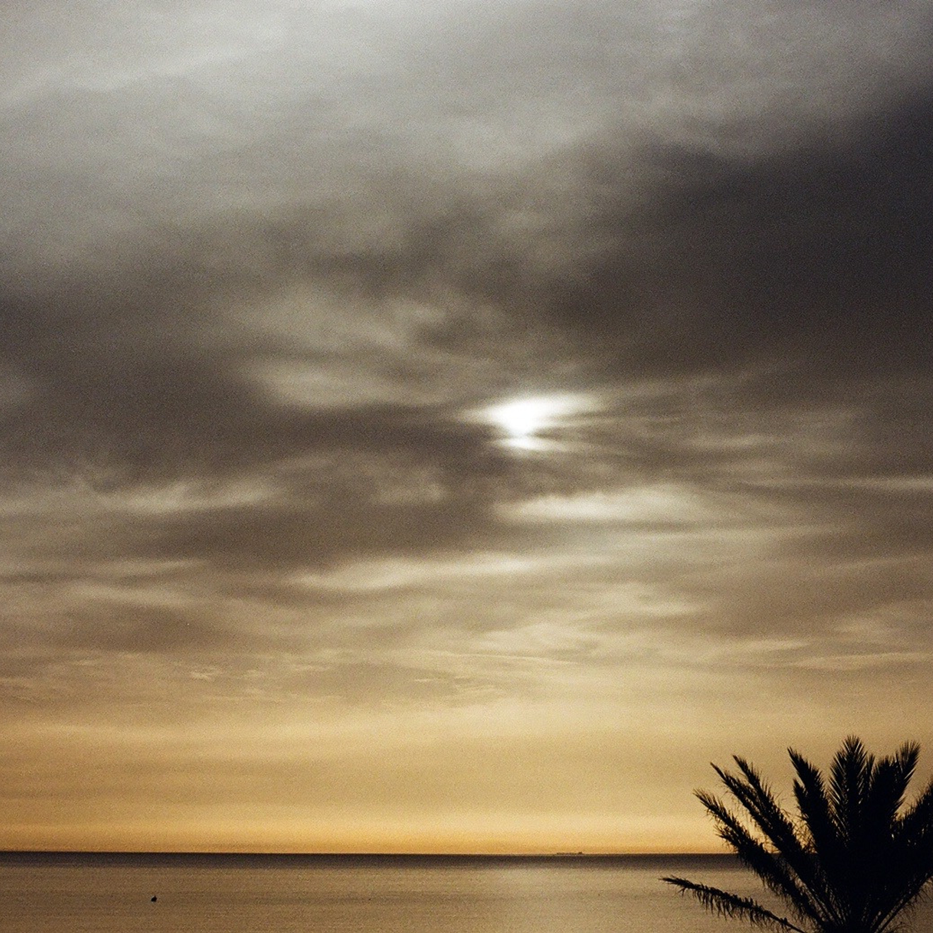 Film. Anastasia Shapoval violoniste et photographe. Annecy — Geneve