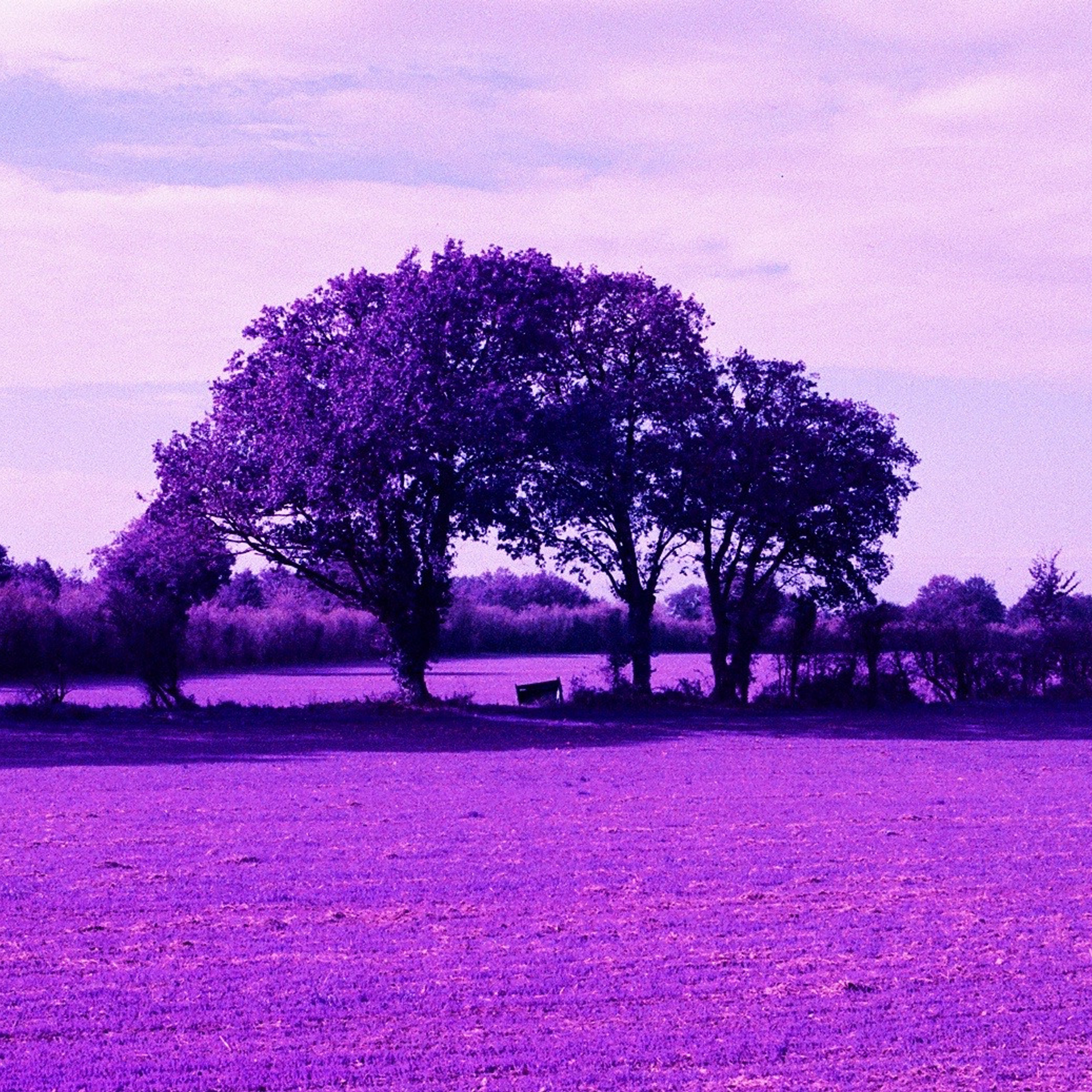 Film. Anastasia Shapoval violoniste et photographe. Annecy — Geneve