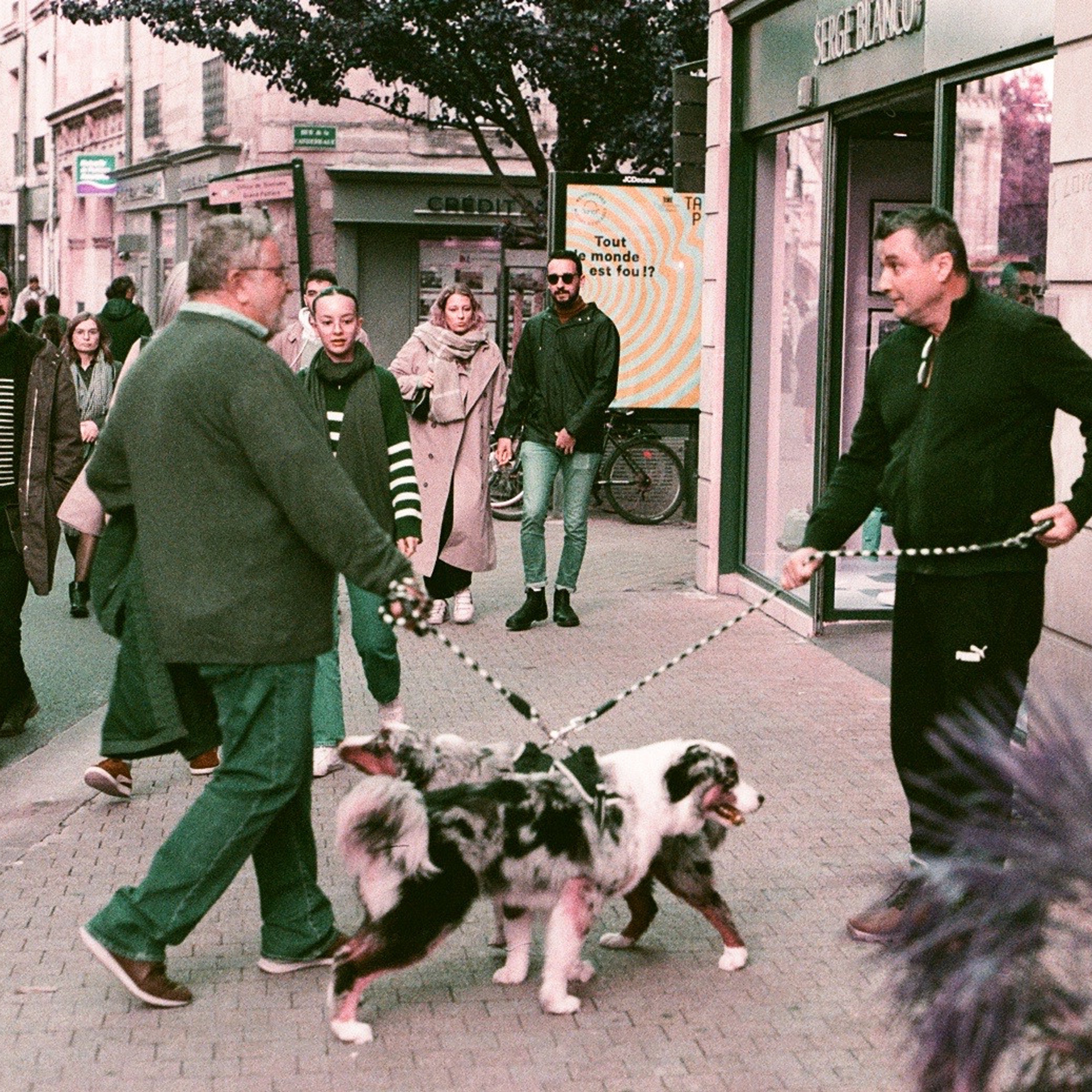 Film. Anastasia Shapoval violoniste et photographe. Annecy — Geneve