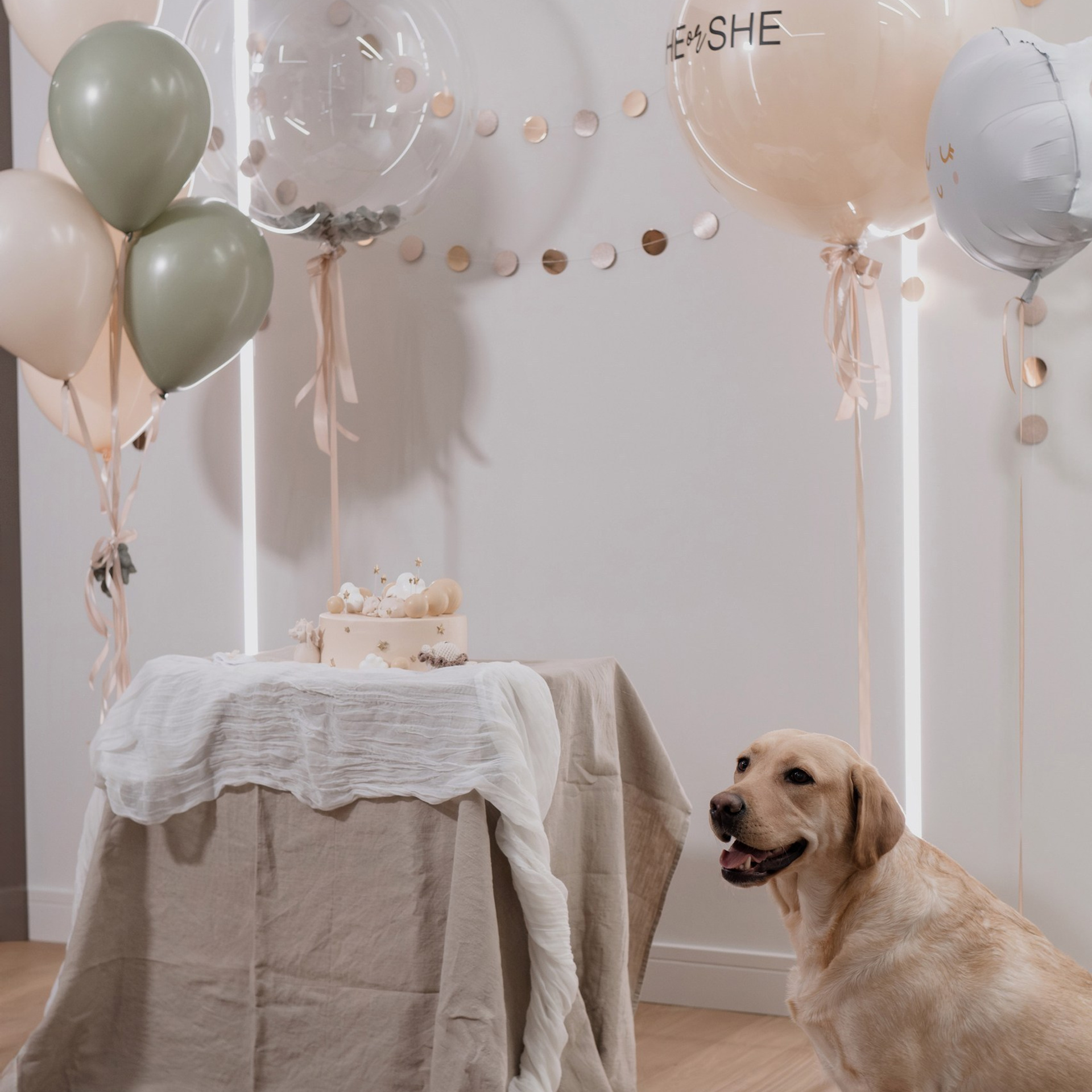 Отзывы. Константин Суриков свадебный фотограф Санкт-Петербург