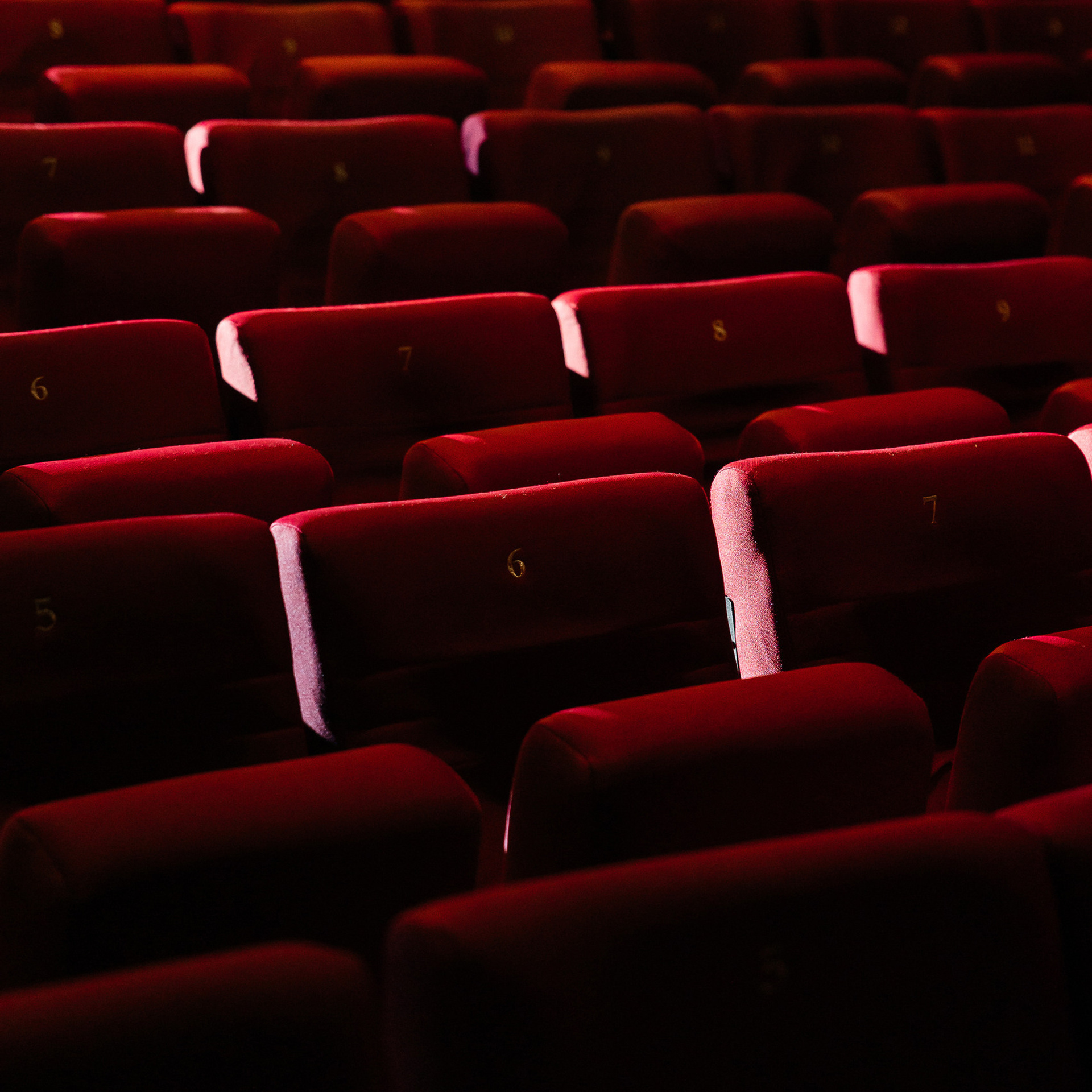 Отзывы. Фотограф Serj Ganso