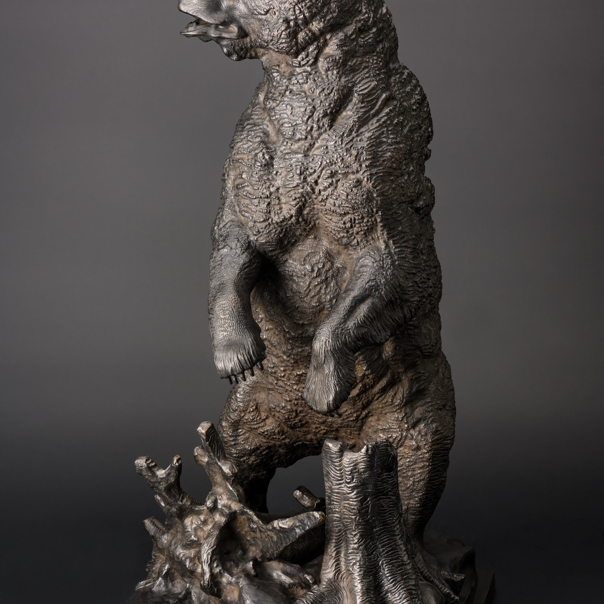 Чугун. Предметный Интерьерный фотограф в Москве Сапожников Георгий