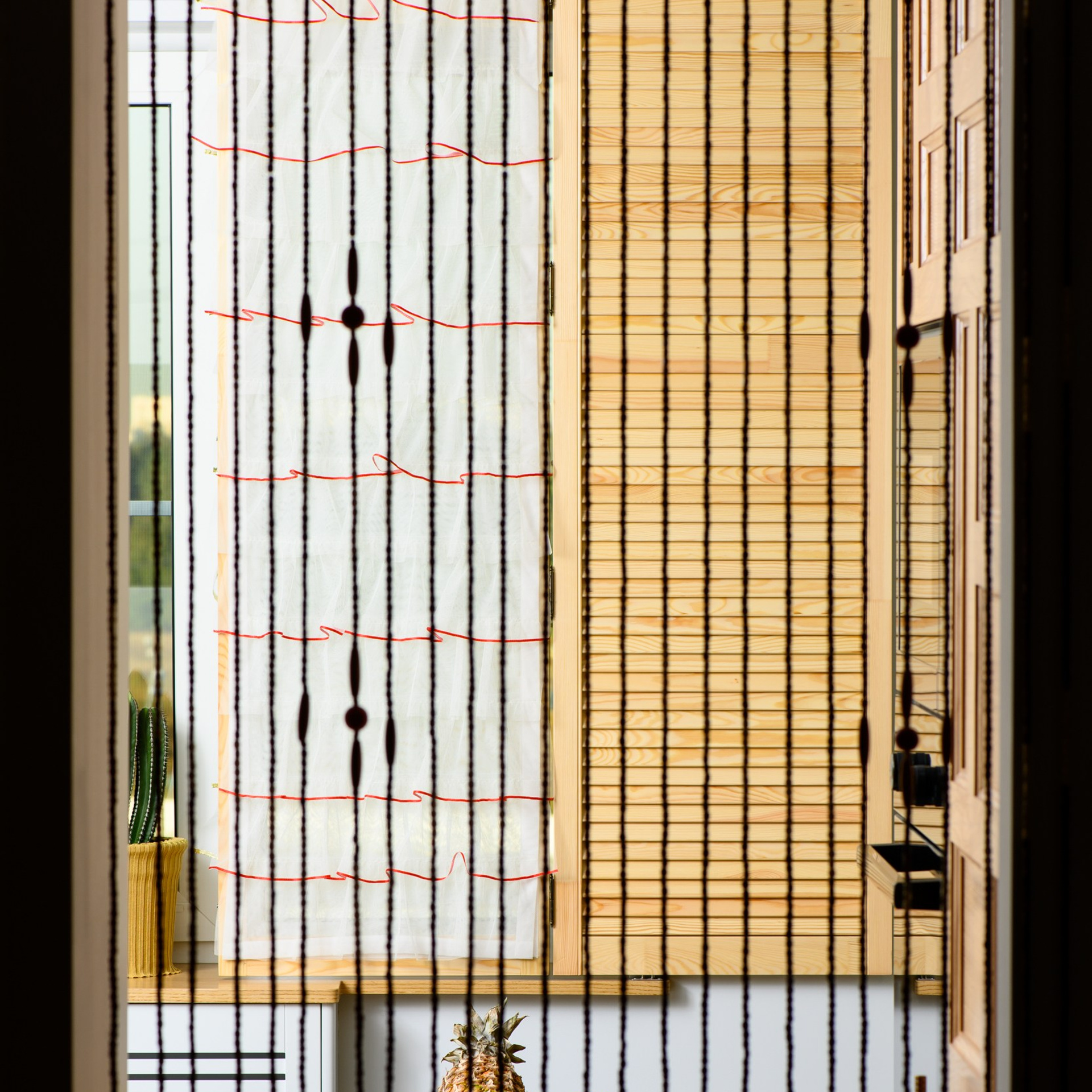 Восторг от дивана, кактусов и эффектных ставен. Проем двери оформили шторой из бусин.