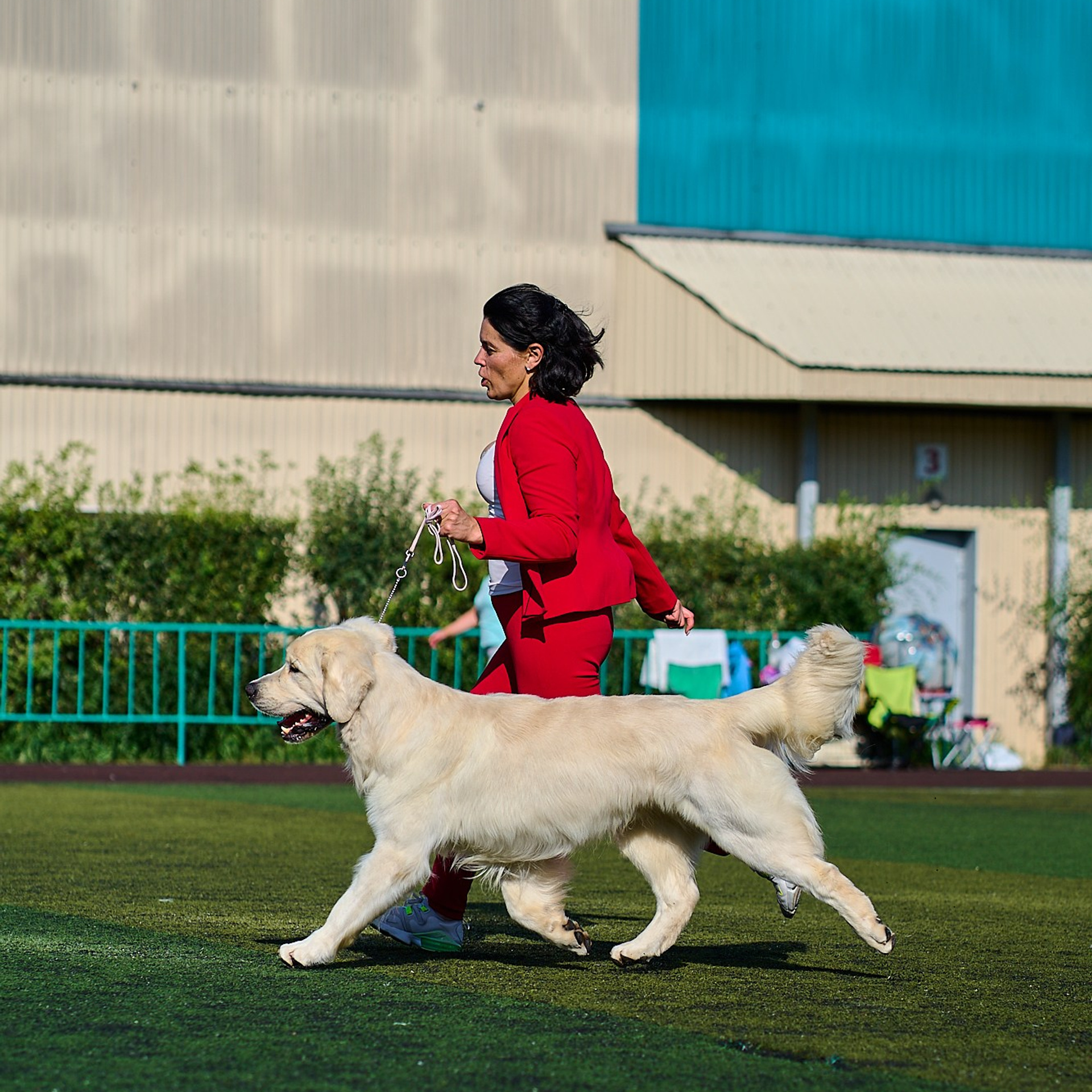 Отзывы. Фотограф-анималист в Иркутске