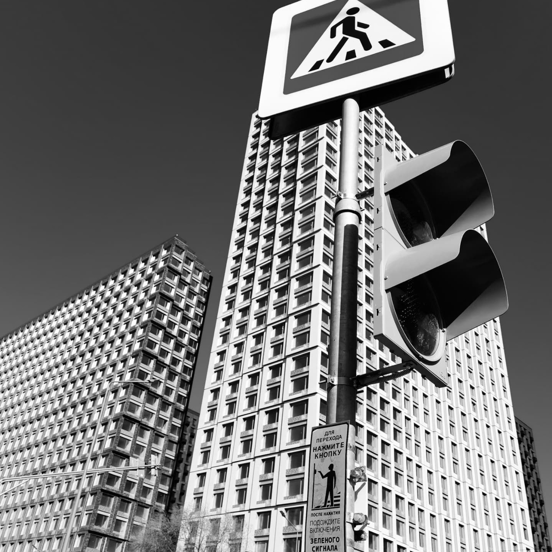 World. Ирина Савельева — фотограф