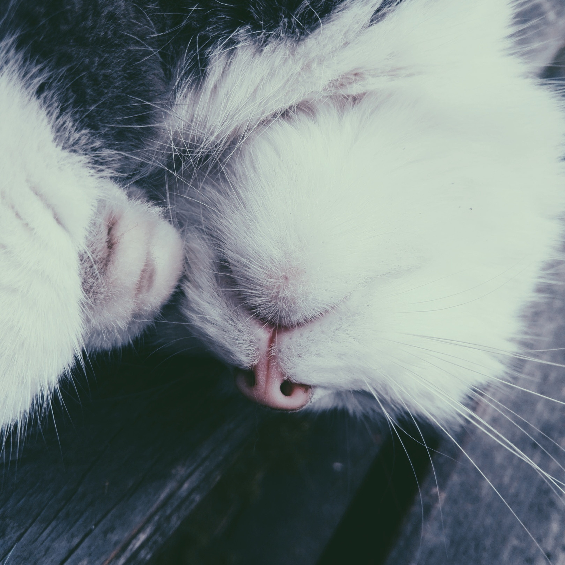 World. Ирина Савельева — фотограф