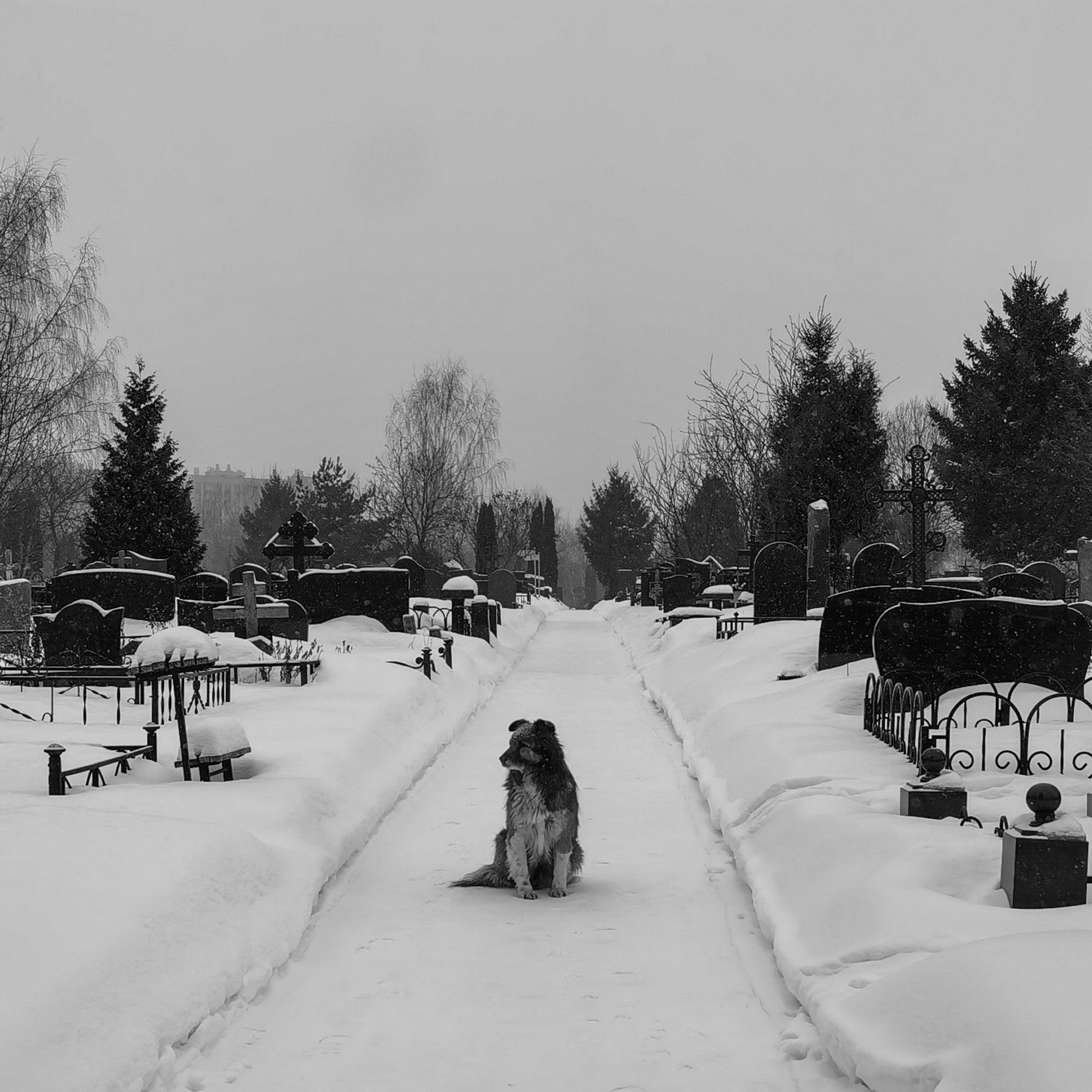 World. Ирина Савельева — фотограф