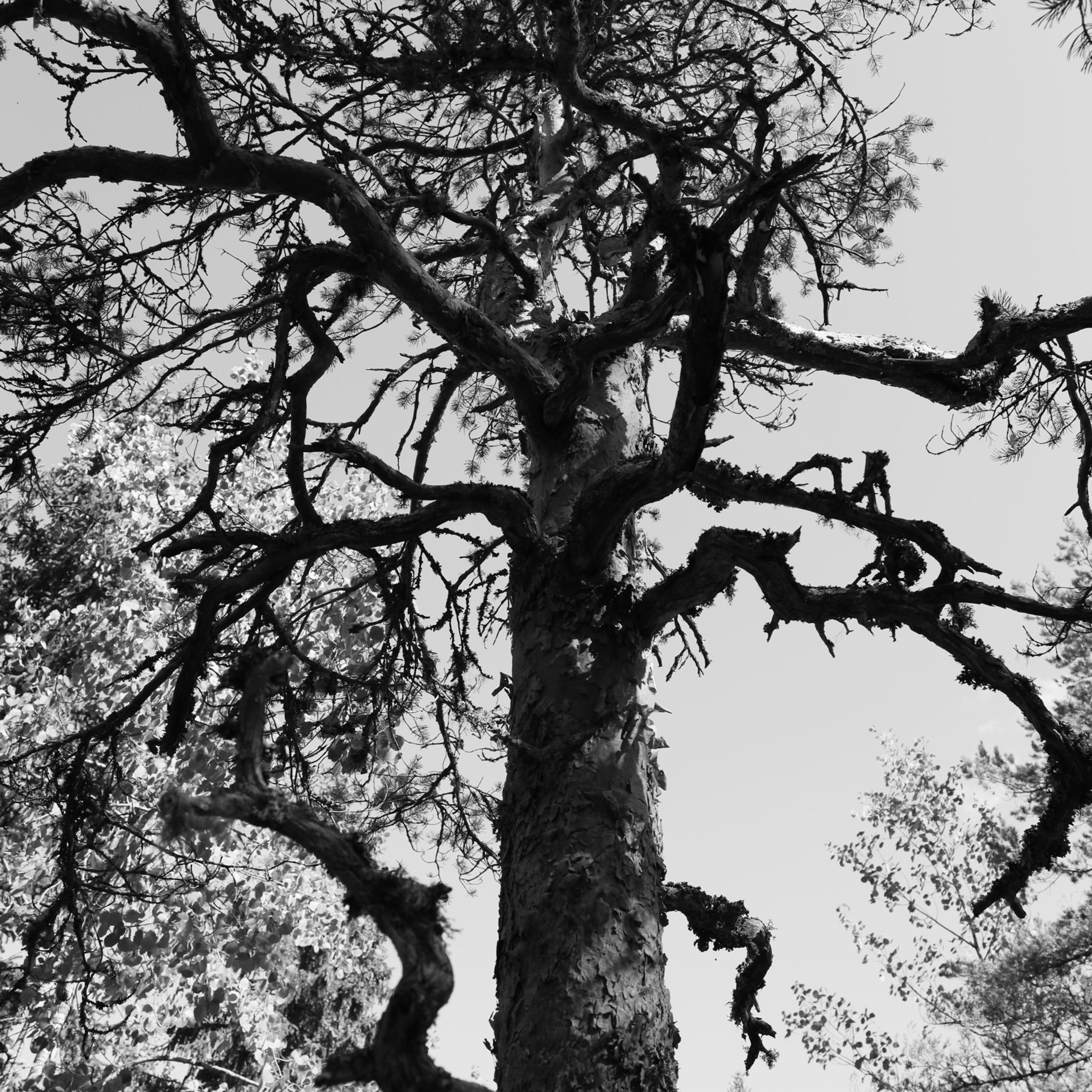 Города России. Карелия. Visual artist (photo & arts)