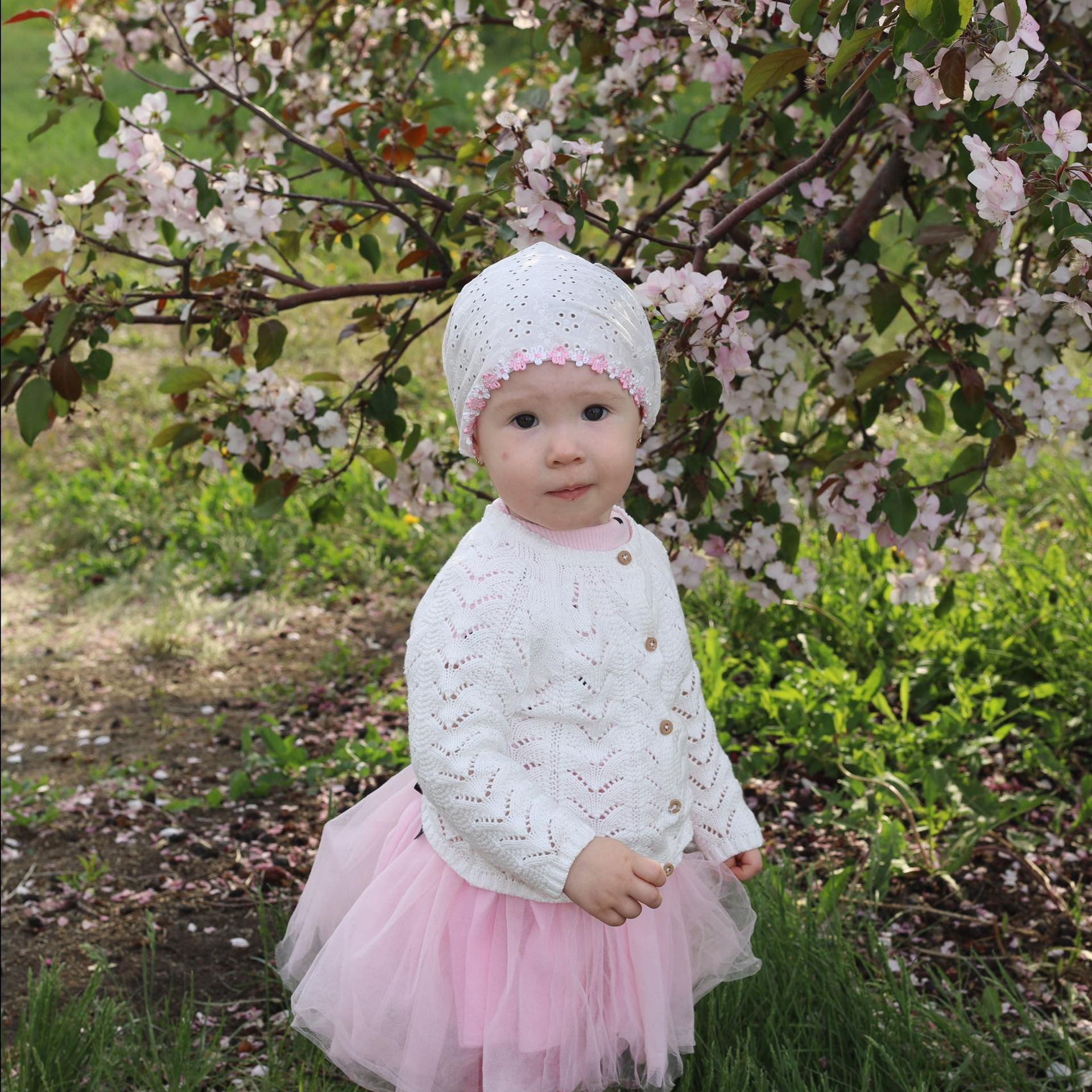 Отзывы. Фотограф Алёна Кладова