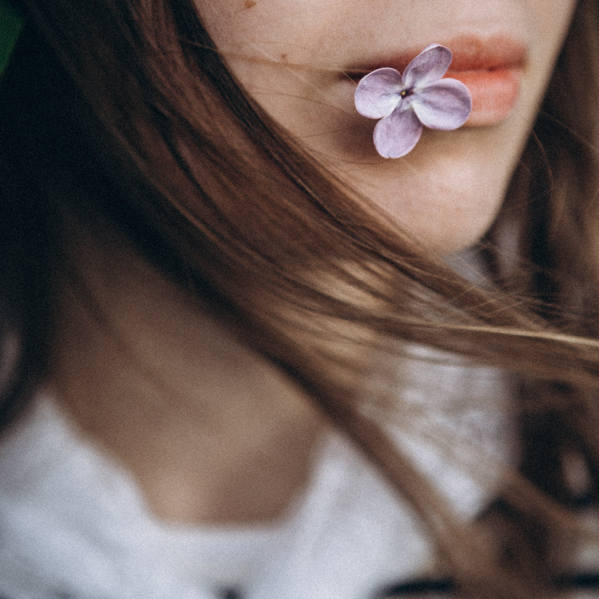 Рассветная прогулка