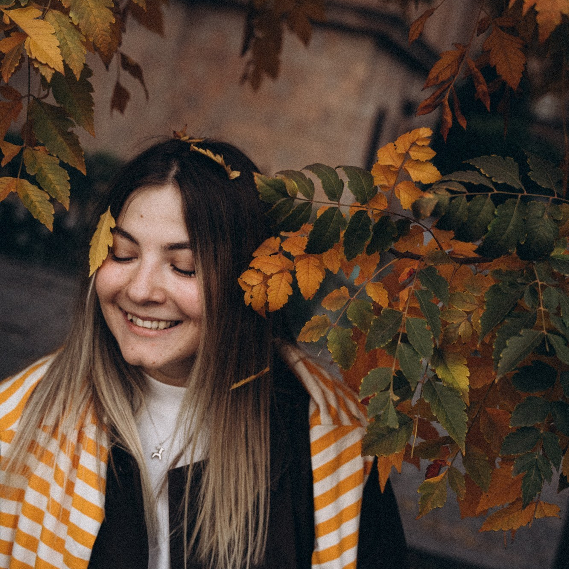 Осенние листья. Сфотографировать их все.