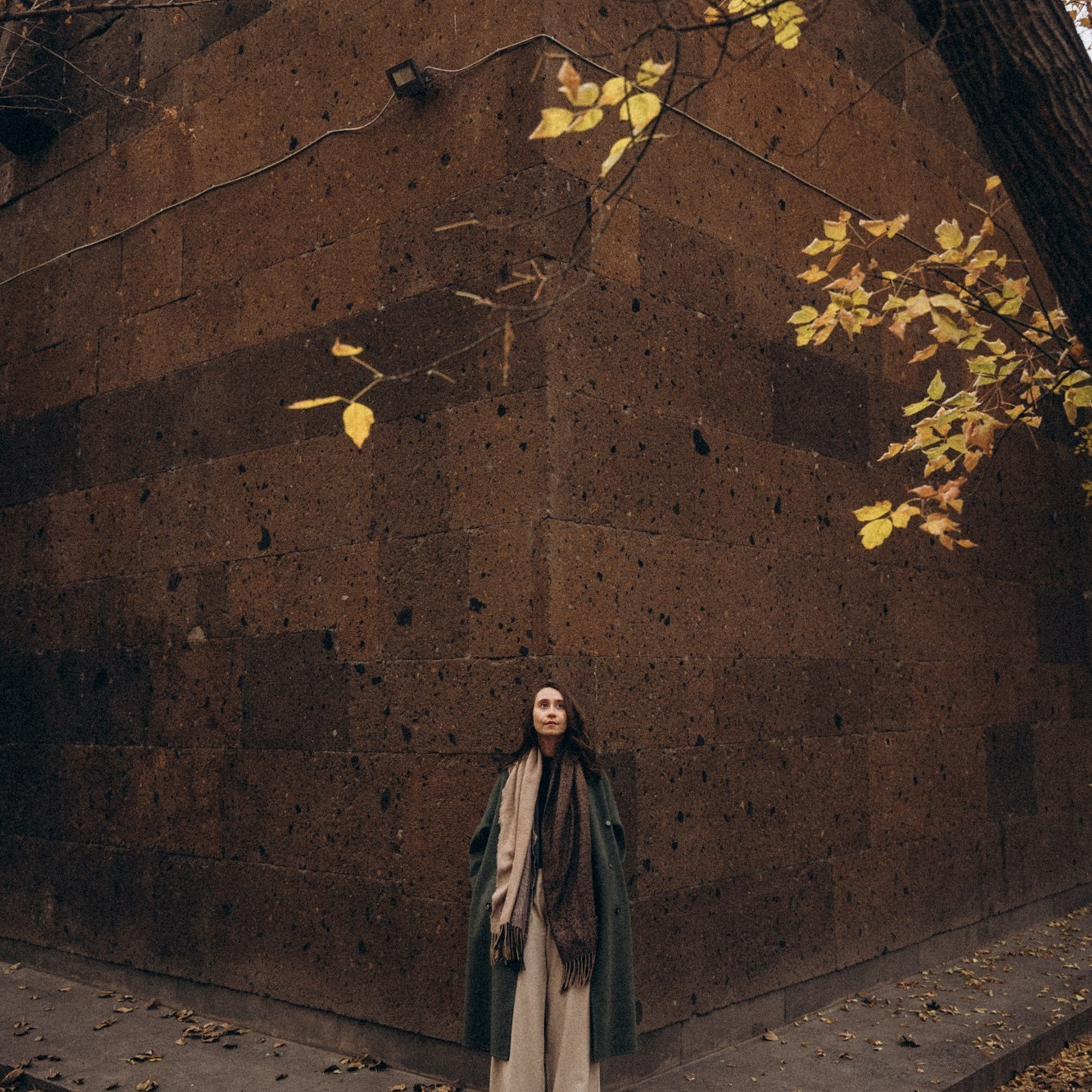 То ли осень, то ли декабрь в Ереване