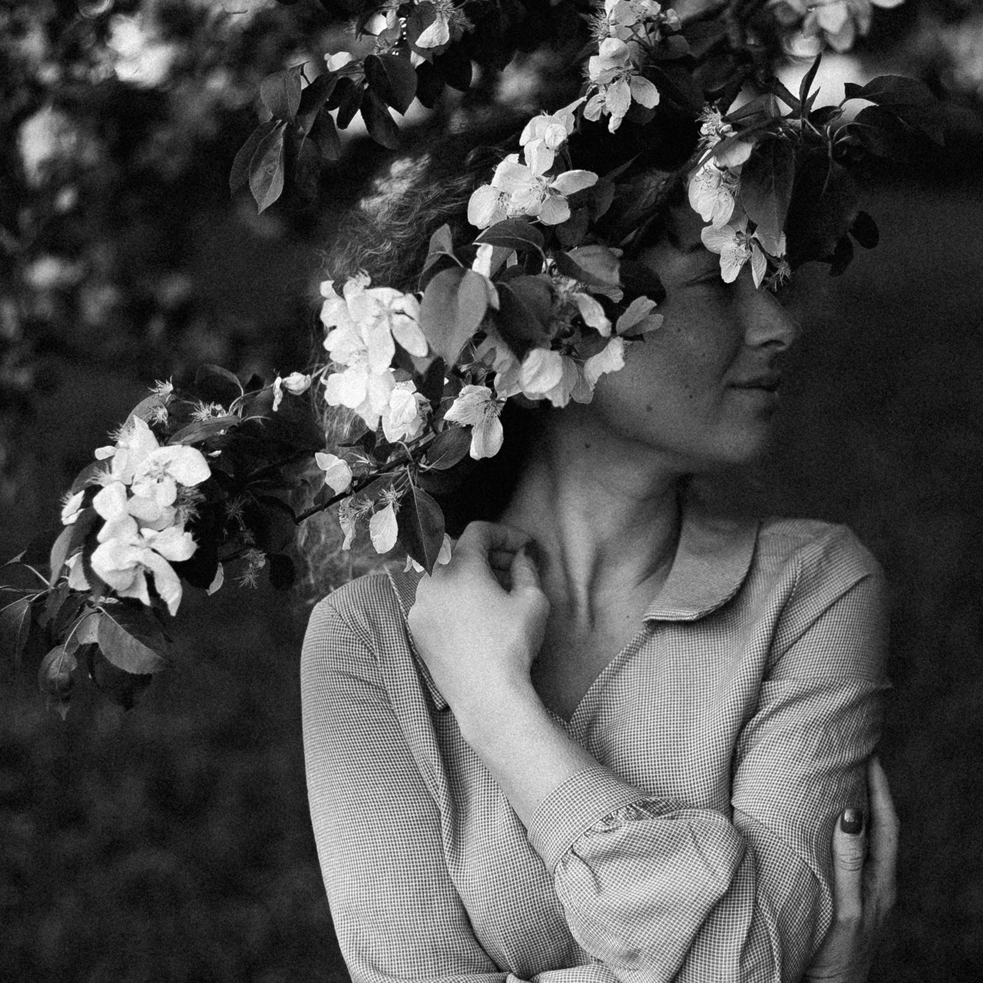 Когда цветут яблони