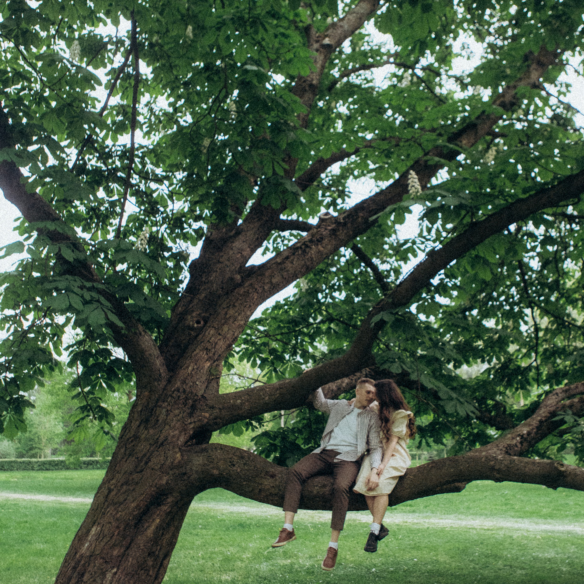 Любовь весной