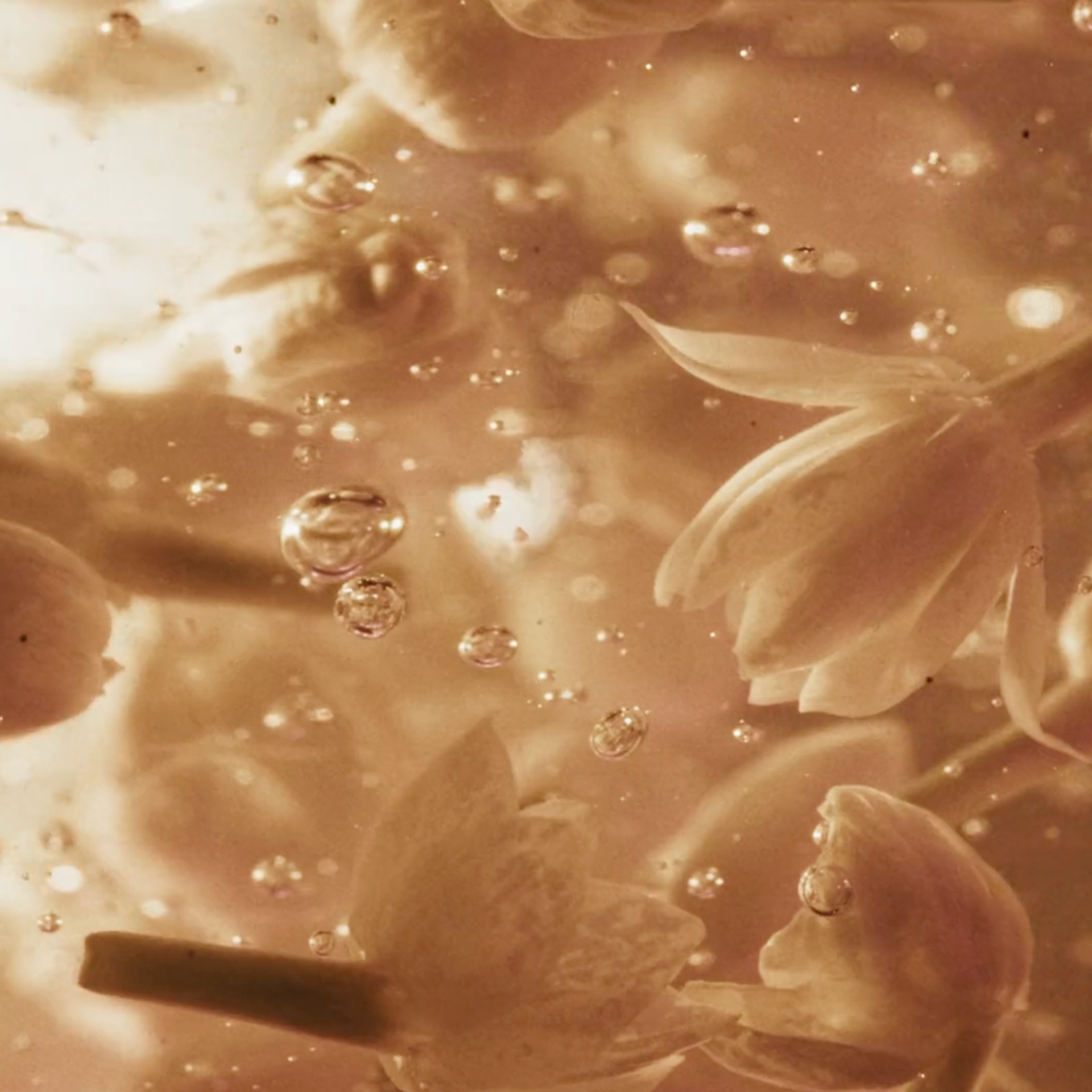 Ajmal aurum elixir. Naya Novikova set designer portfolio