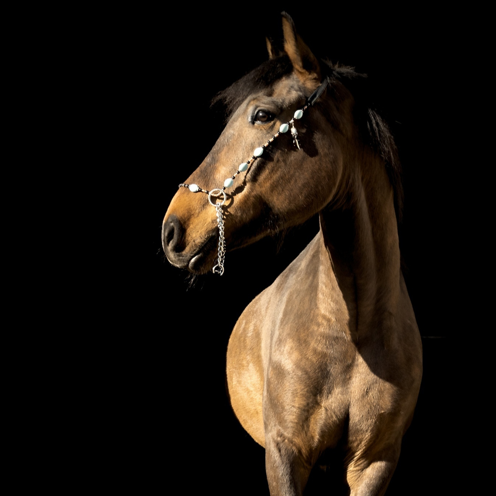 Отзывы о работе фотографа Аксёнов Алексей. Бизнес, мужской фотограф в Краснодаре | Аксёнов Алексей Владимирович
