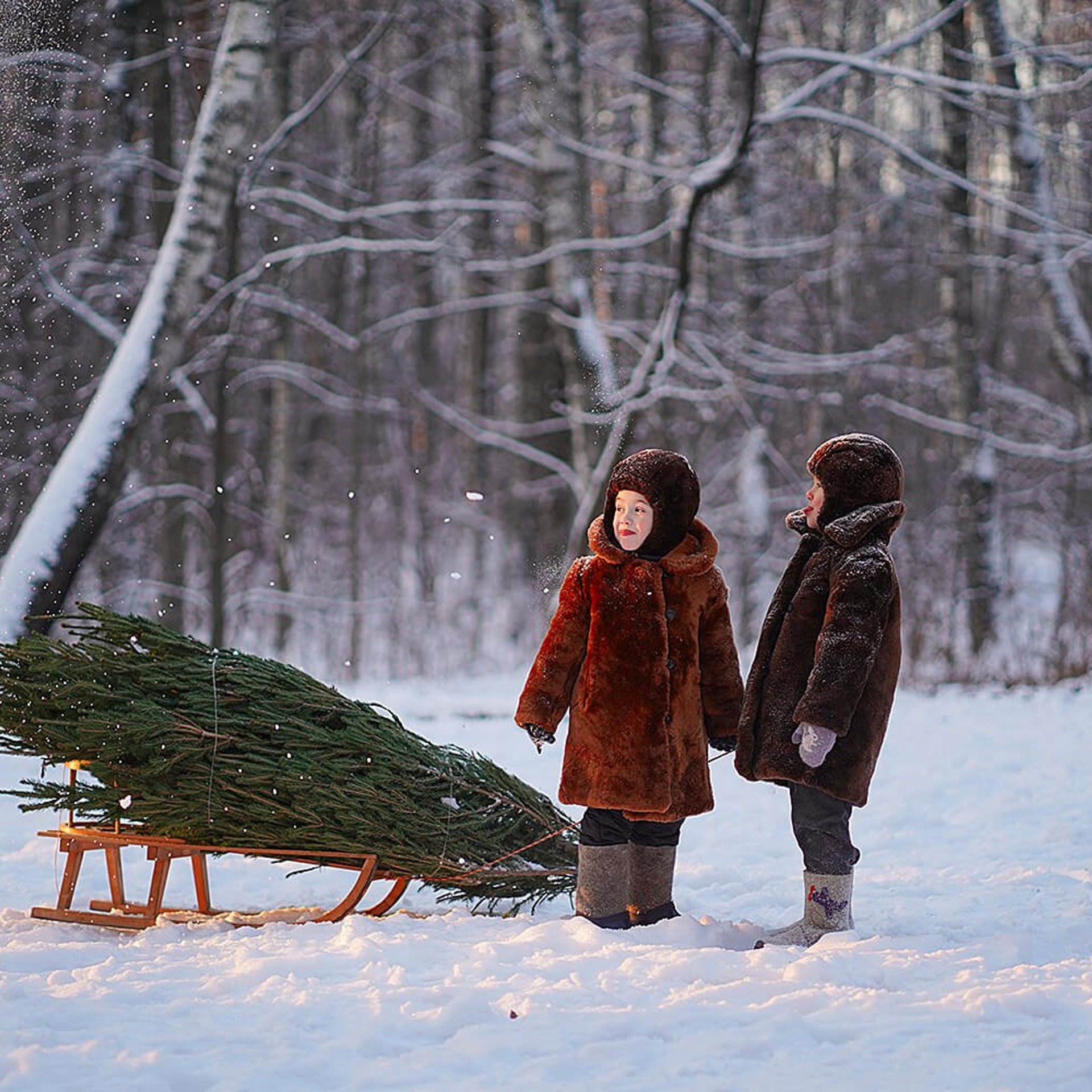 ОНЛАЙН-КУРС ПО ФОТОГРАФИИ «С ФОТО НА ТЫ». Детский и семейный фотограф в Москве Катерина Орлова