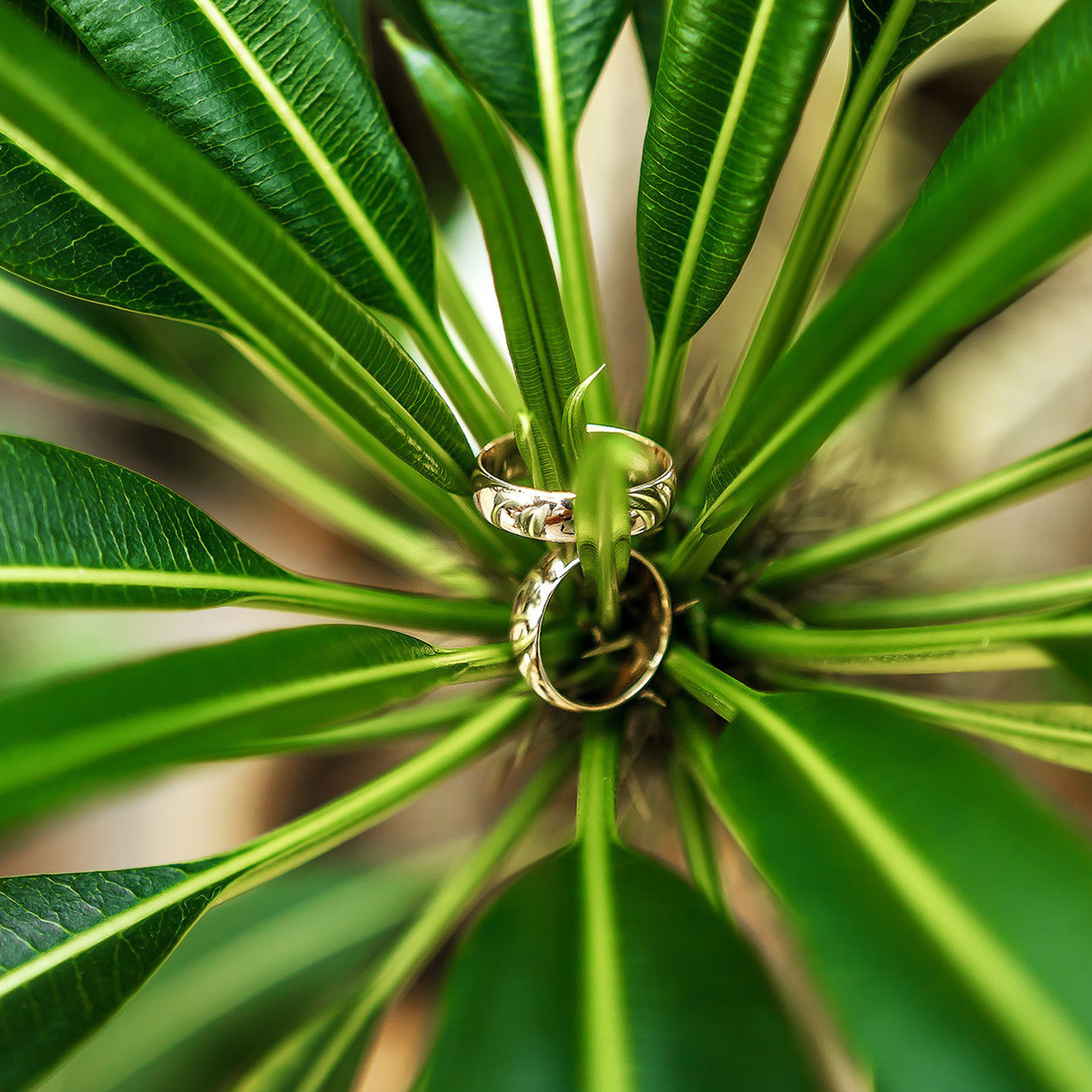 Photographer reviews. Photographer in Batumi, Georgia Pavel Sharnikov