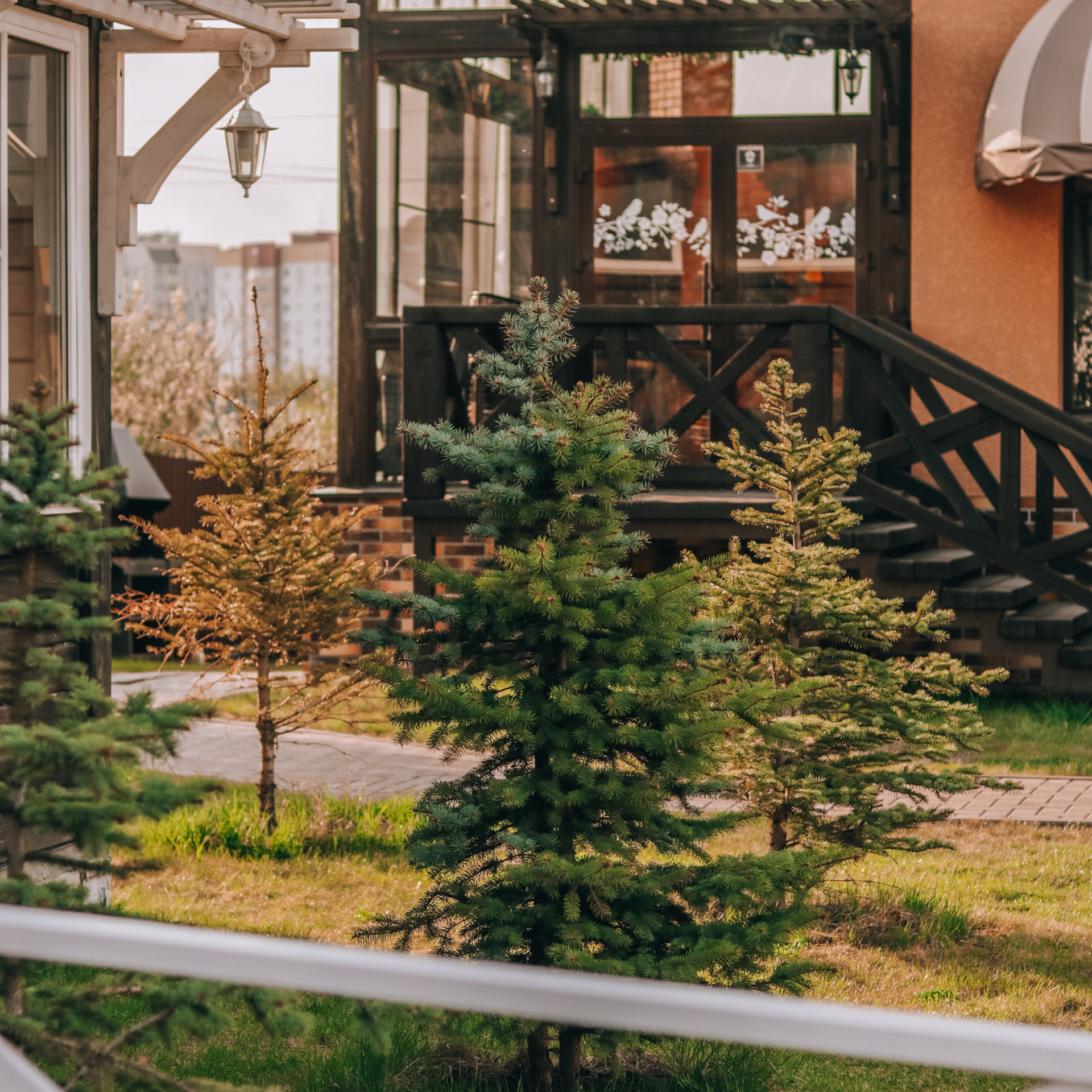 Отзывы. Семейный фотограф в Барнауле, Горный Алтай, Заринск, Алейск