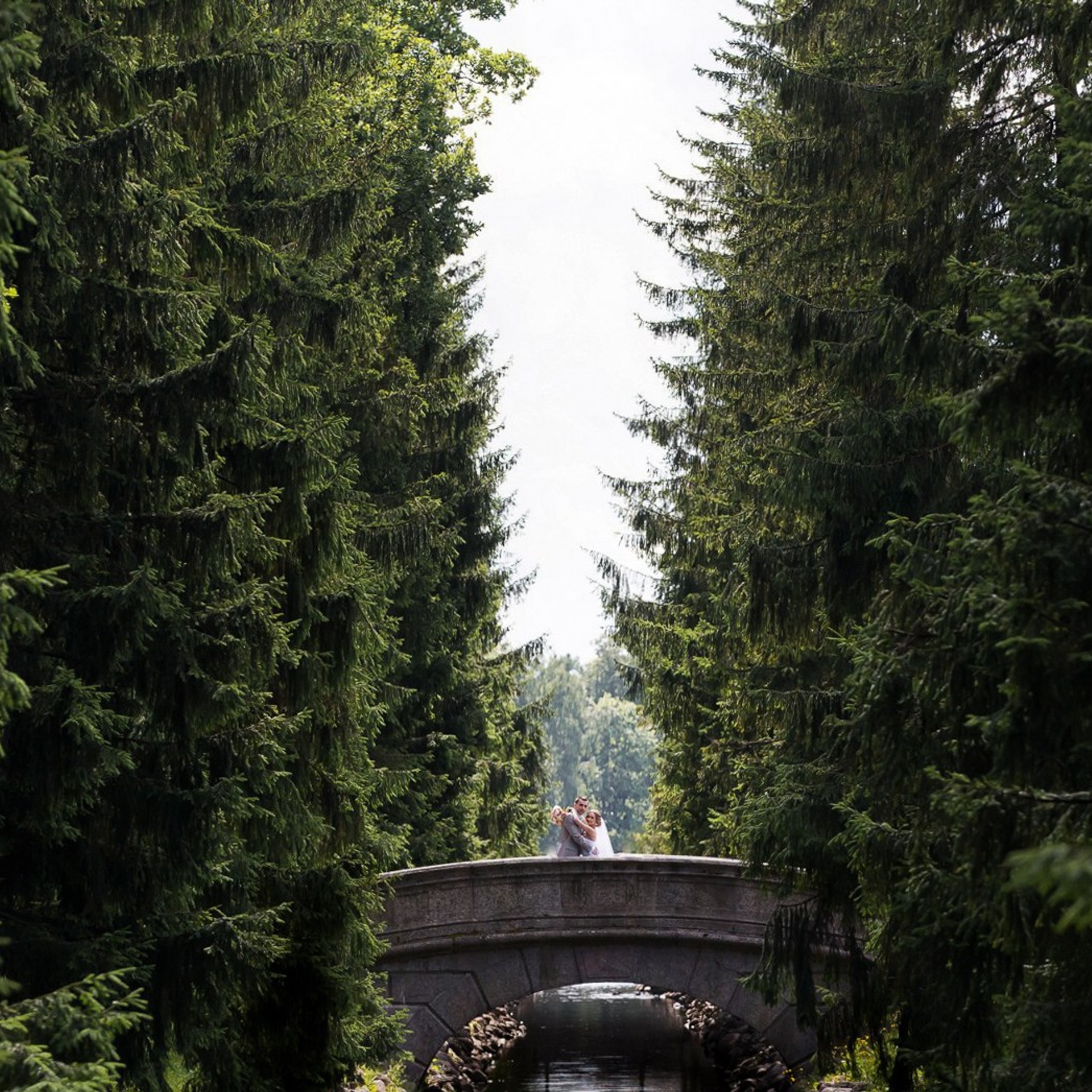 Портфолио. Свадебный и репортажный фотограф