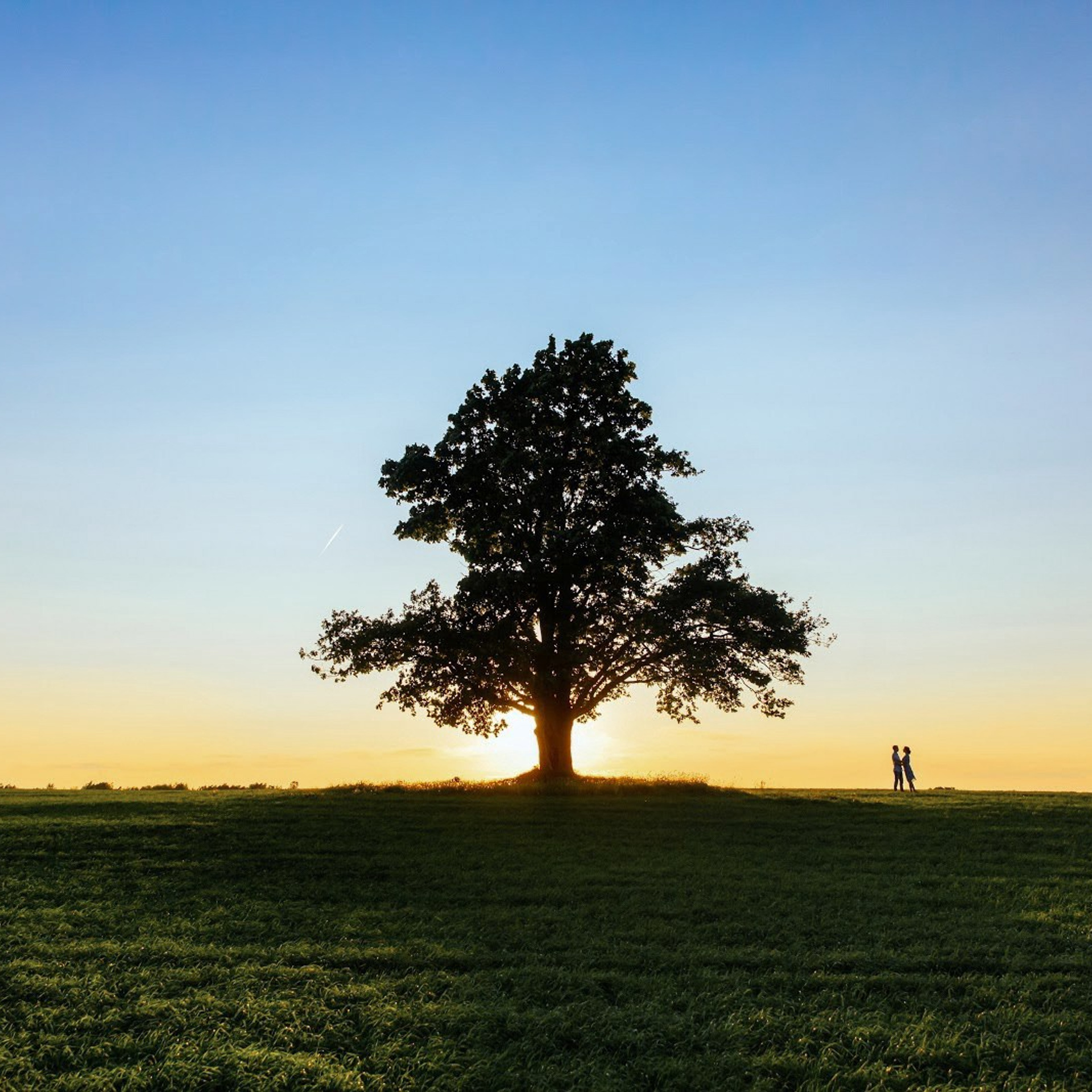 Портфолио. Свадебный и репортажный фотограф