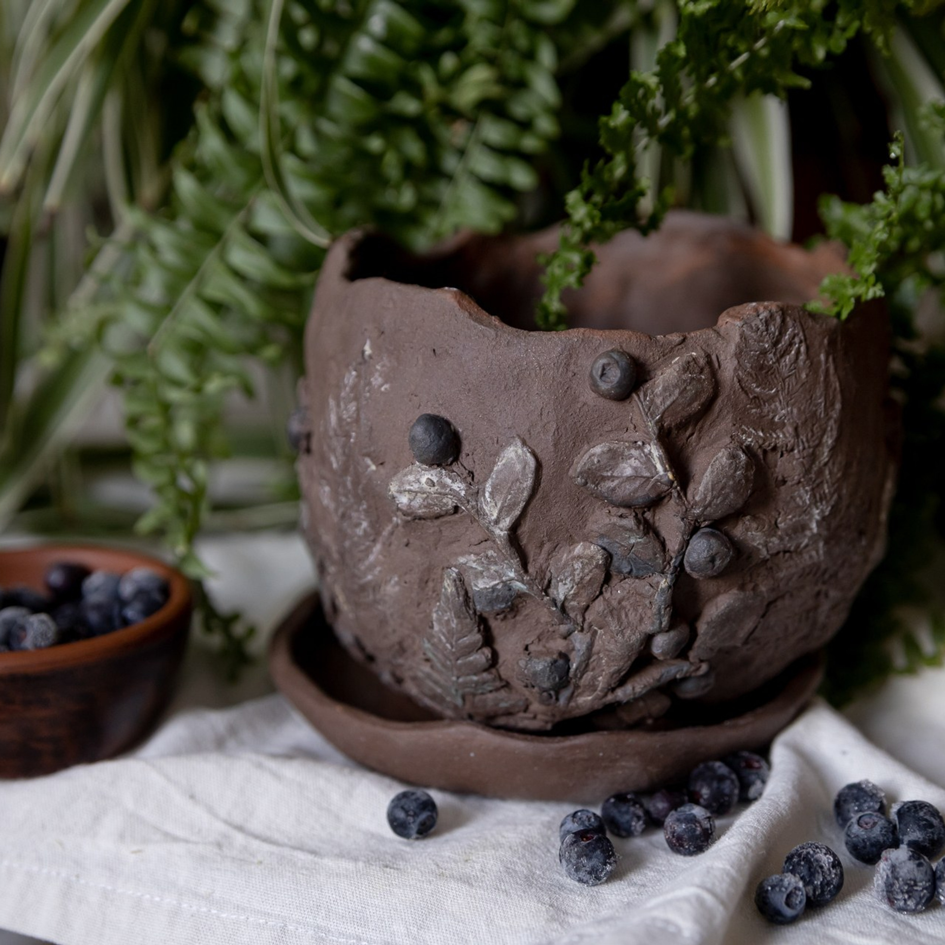 «Черника и папоротник» НЕТ В НАЛИЧИИ