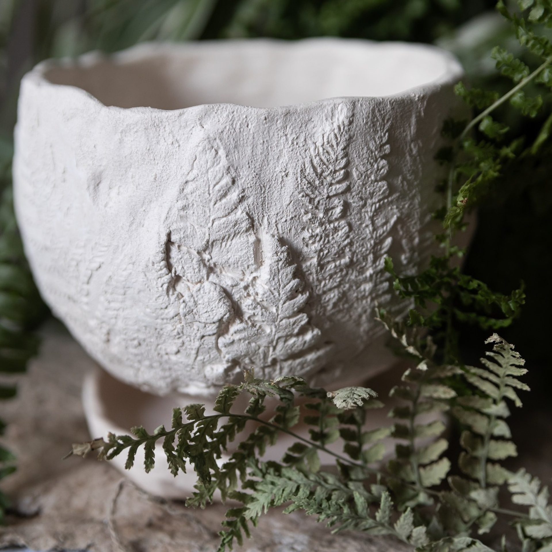 «Папоротники» НЕТ В НАЛИЧИИ