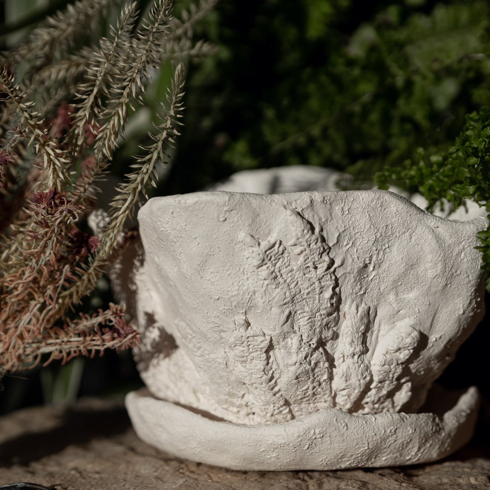 Горшок «Мхи и лишайники» 1700 р.